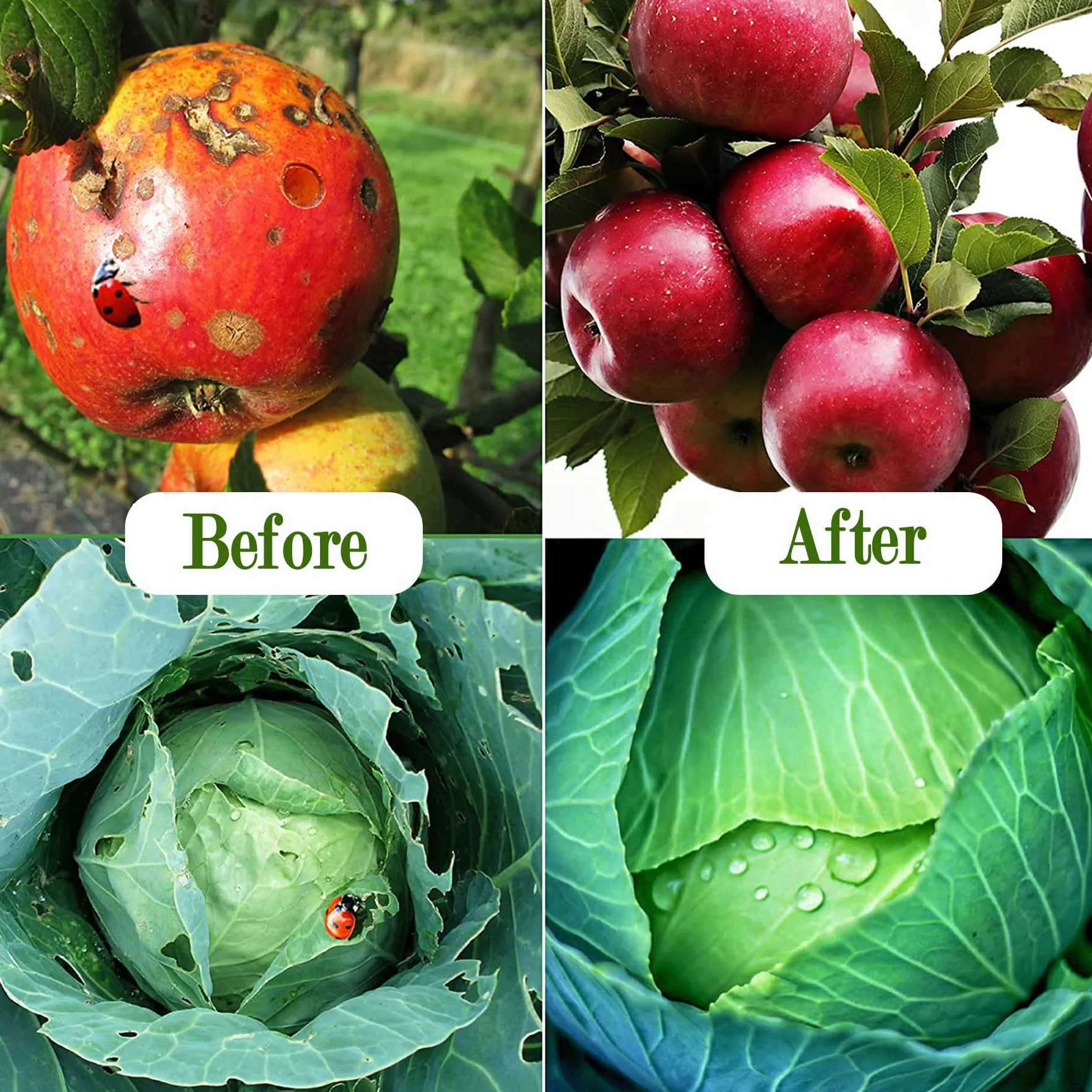 Filet Anti Insecte Potager 3x6M Protection Plantes Légumes Fruits
