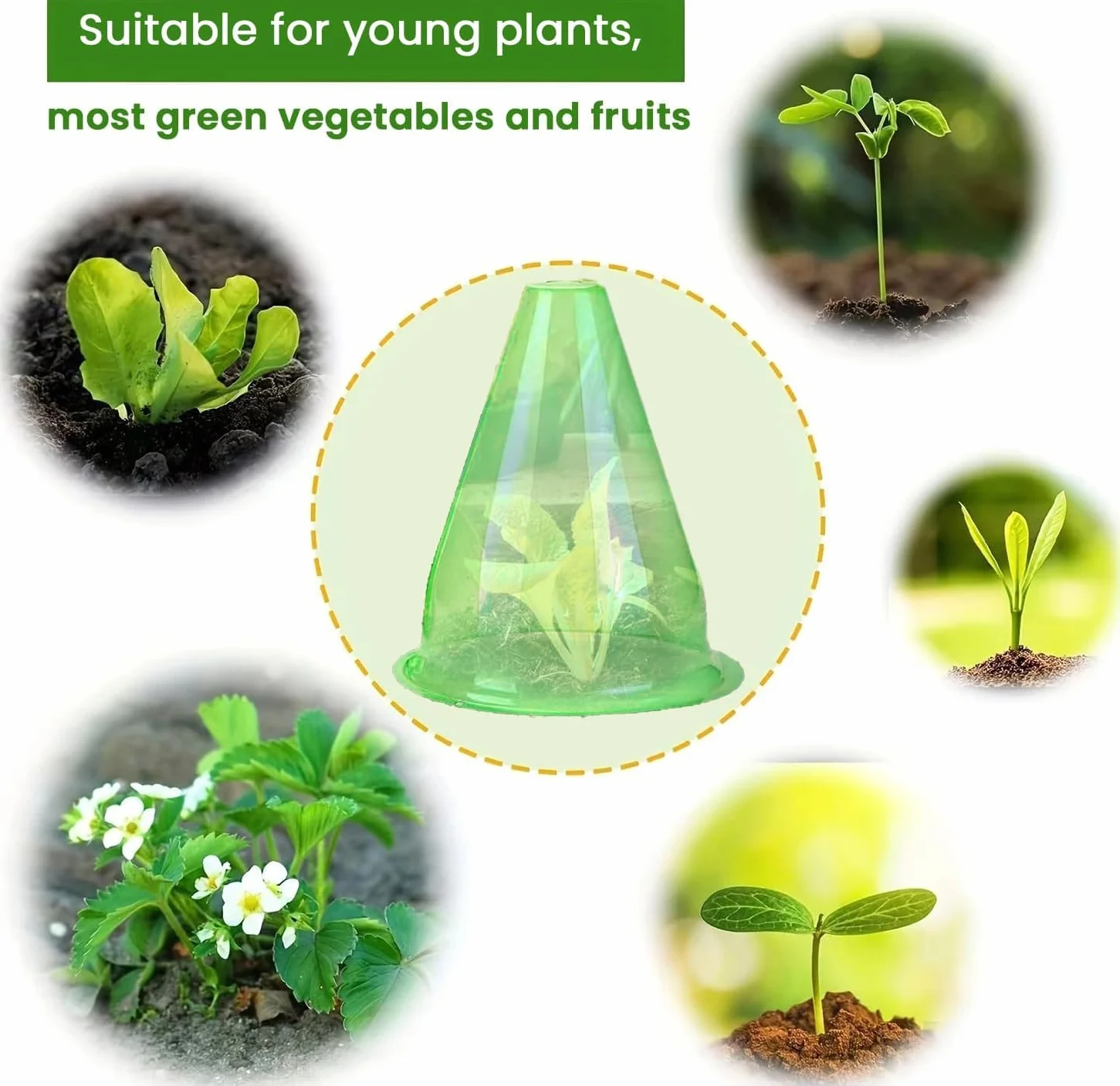 Cloches pour Plantes de Jardin 24 Pièces 24CM x 20CM Couvercle en Plastique Protection Contre Soleil Neige Gel Oiseaux Insectes