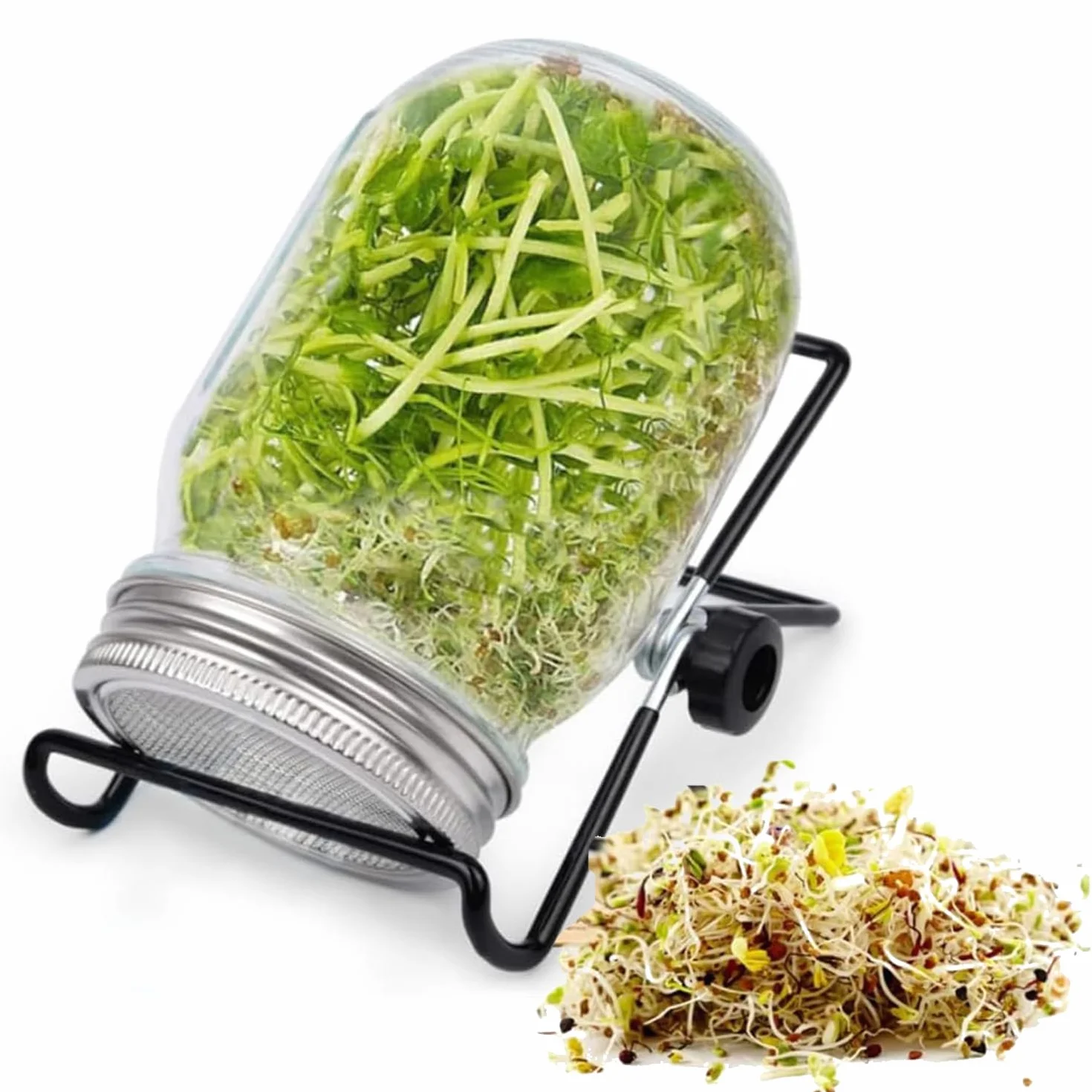 Bocaux à germer 1000 ml en verre avec couvercle inoxydable 304 et support pour germination alfalfa brocoli haricots mungo