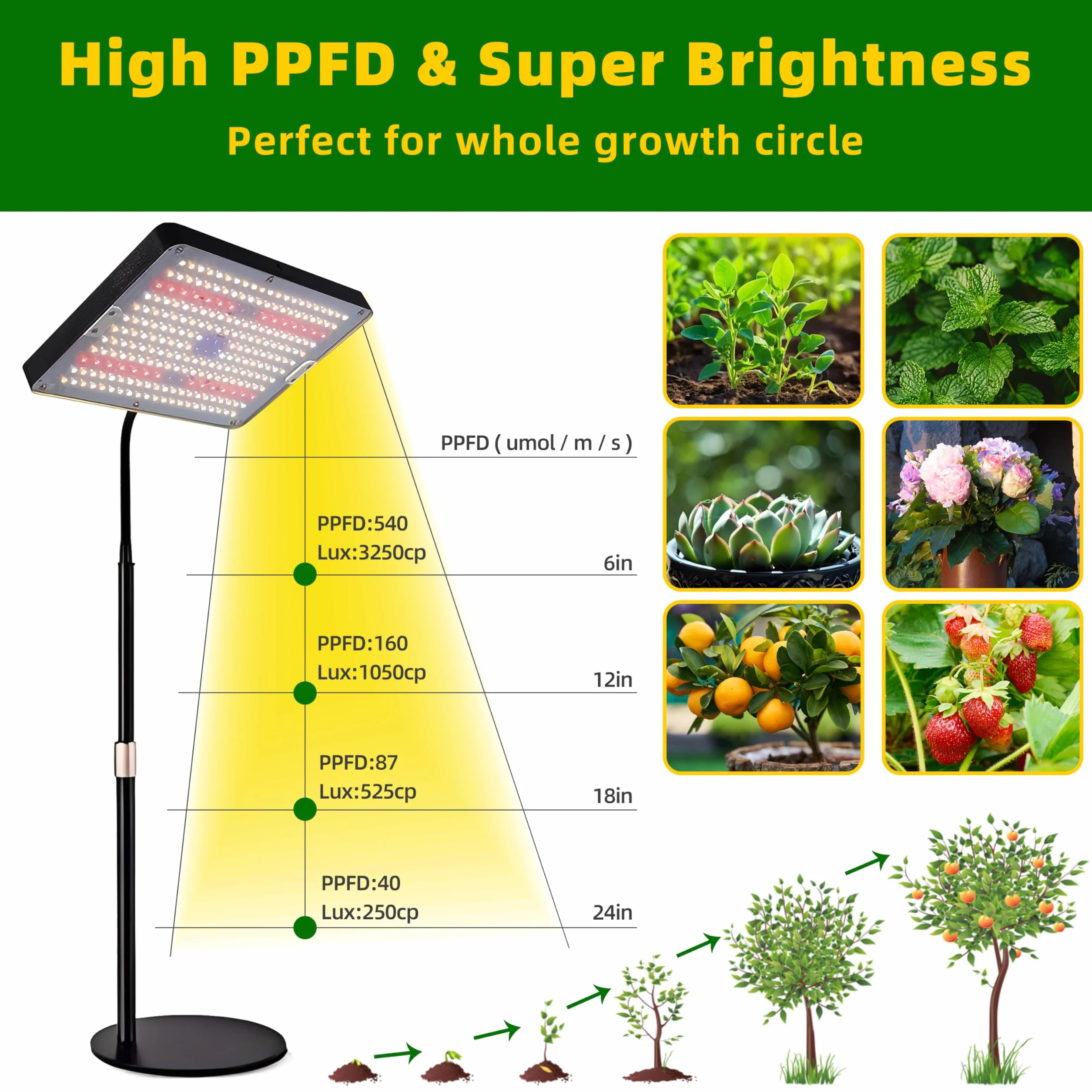 Lampe Horticole LED Spectre Complet Dimmable avec Minuterie 4/8/12H, 10 Luminosité, 3 Modes pour Plantes d'Intérieur