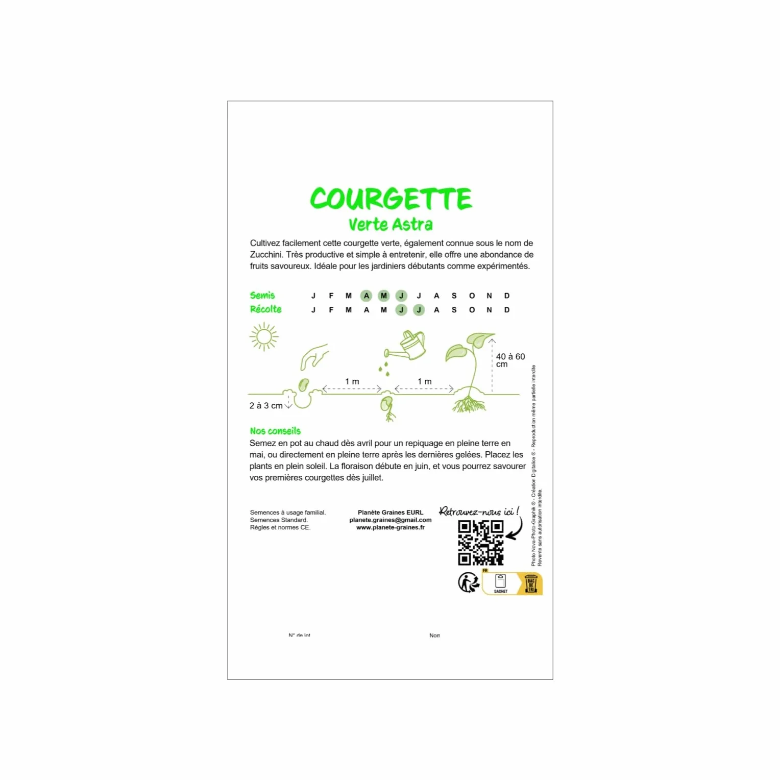Graines de Courgette Verte Non Hybride - Variété Coureuse et Productive