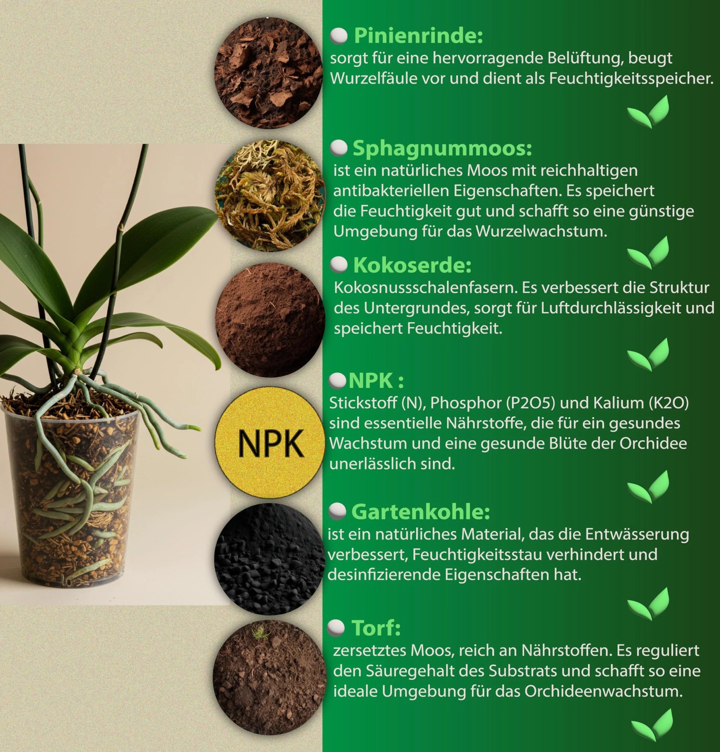 Substrat pour orchidées 2,5 L 6 composants Orchideenerde