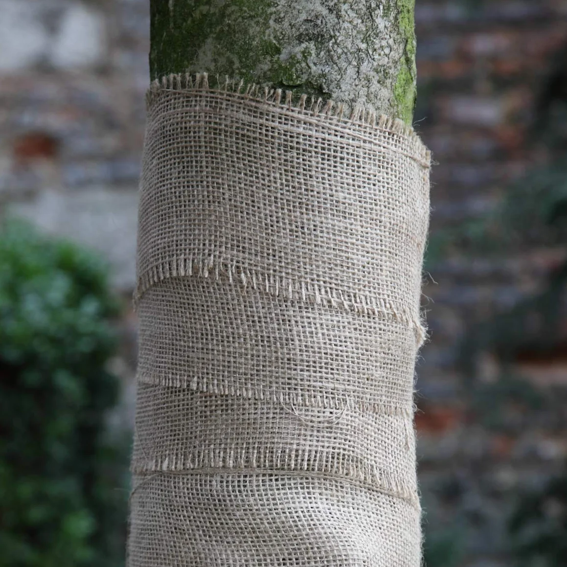 Cordeline Bande Jute Naturel 20 cm x 10m JN28