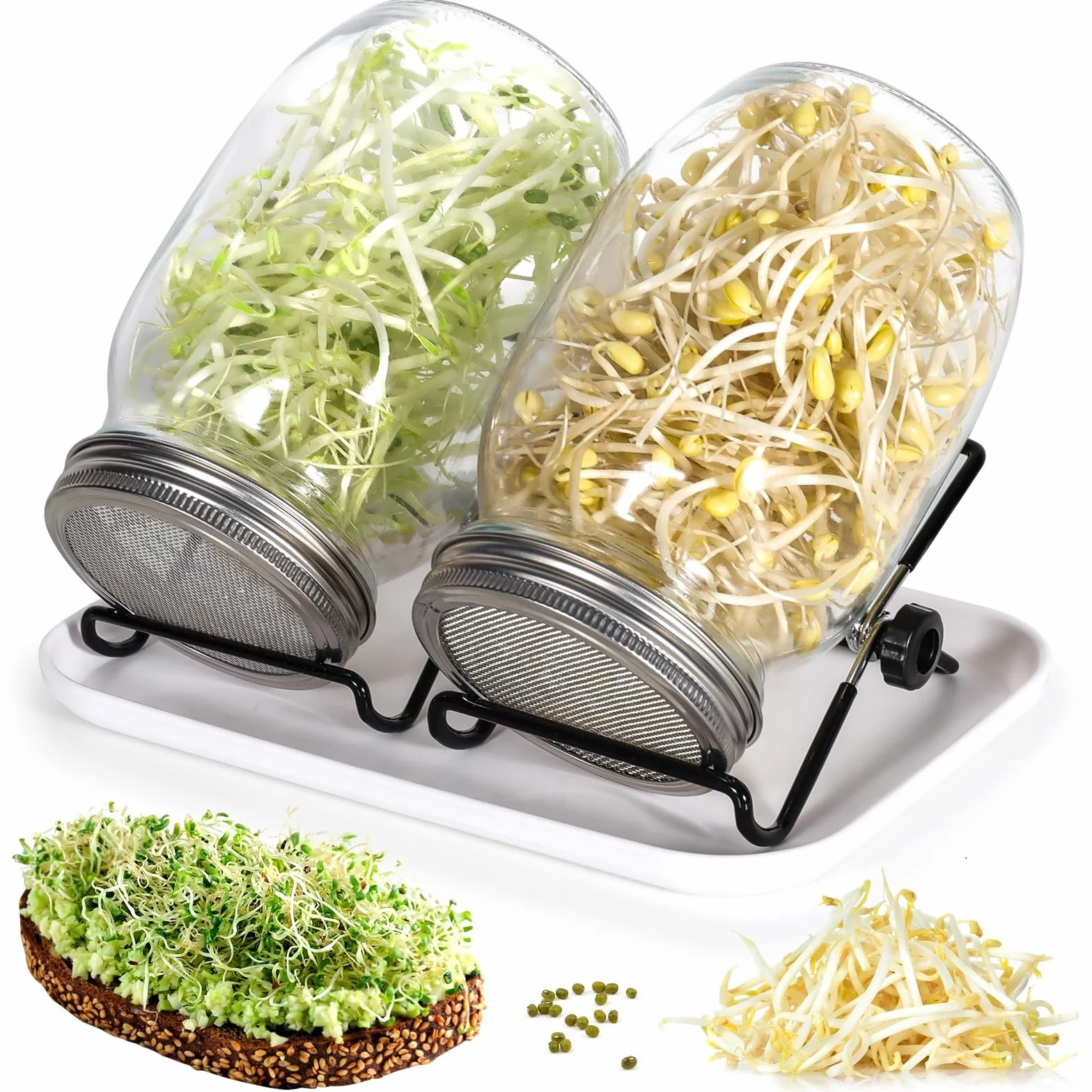 Cinnani Bocal de Germination 2x1000ml Germoir en Verre avec Couvercle Grille Acier Inoxydable Support Plateau Kit