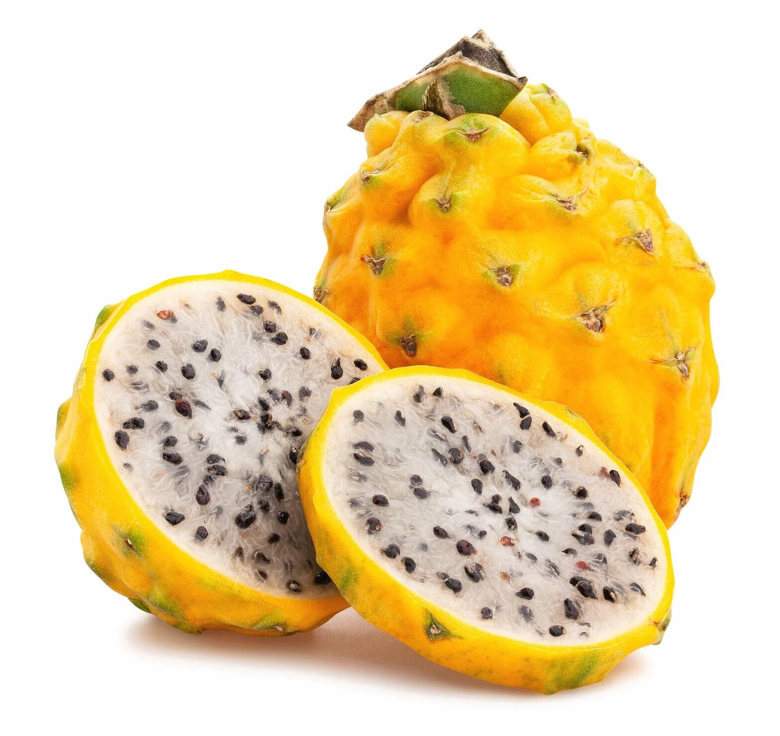Pitaya JAUNE - Hylocereus megalanthus - FRUIT DU DRAGON - 50 Graines Jardin