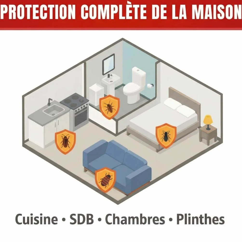 Excellium Laque Choc Insecticide Spécial Cafards et Punaises Spray Prêt à l'Emploi 500 ml