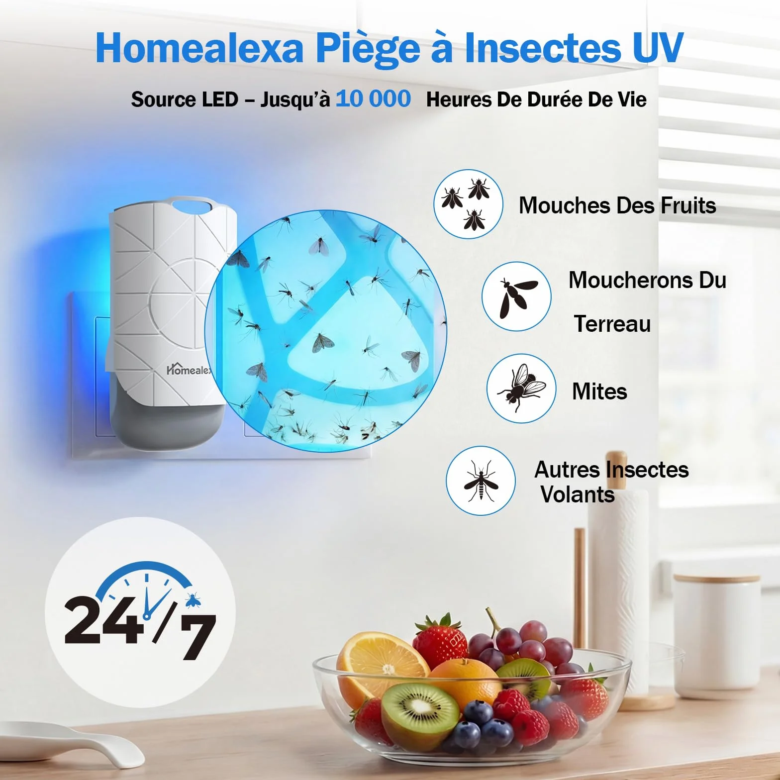 Homealexa Piège à Moucherons Intérieur LED UV Électrique, Anti Moucherons, Prise Rotative 180°, avec 6 Cartes Adhésives