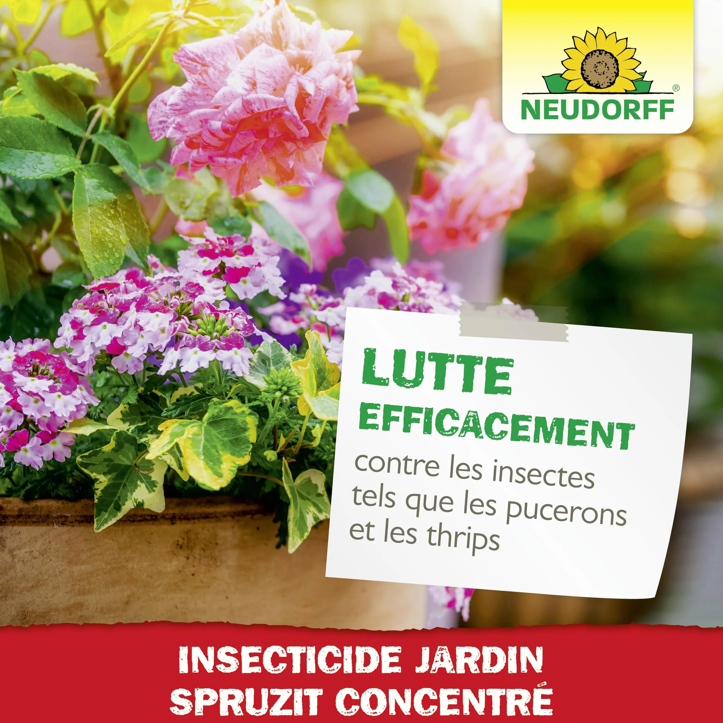 Neudorff Spruzit Insecticide Jardin Concentré 250 ml - Combat pucerons, cochenilles, ravageurs
