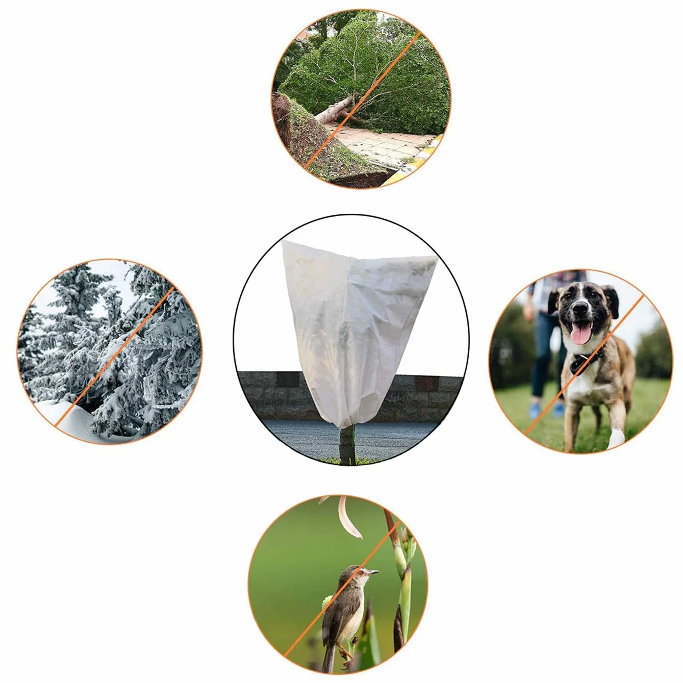 Housse Hivernage Plante 80x60cm Protection Plantes Réutilisable 2 Pack