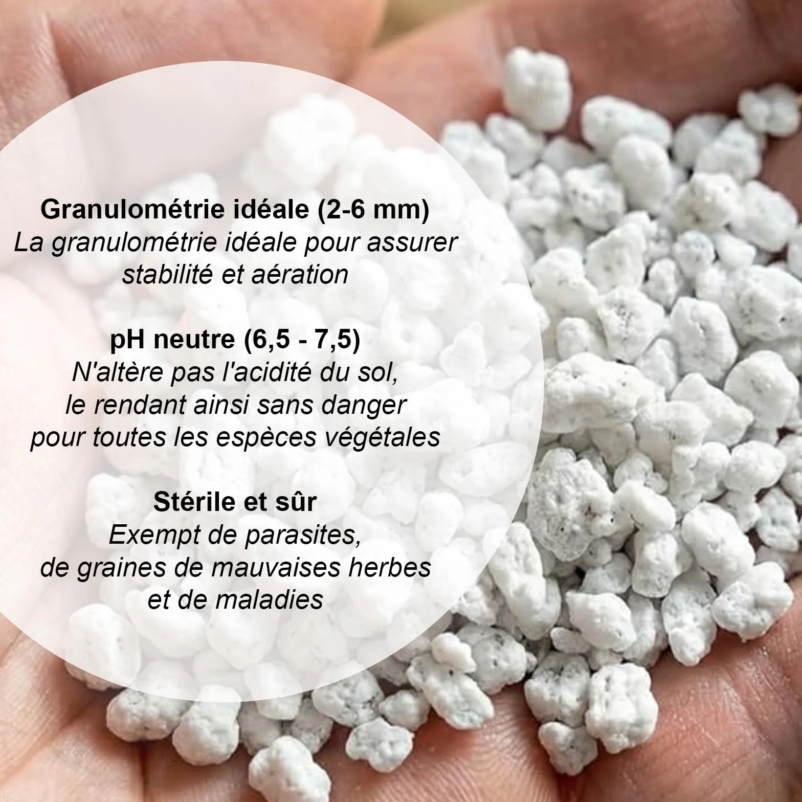 Perlite volcanique naturelle expansée pour jardinage 2 L drainage plantes intérieur