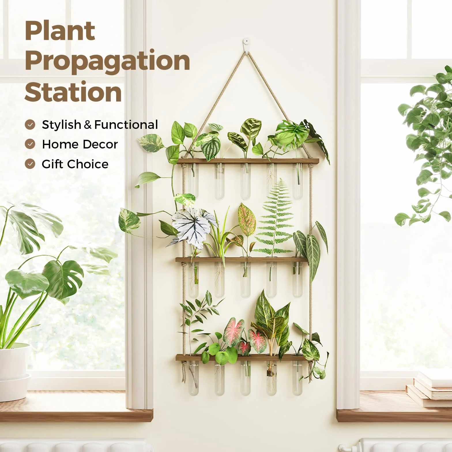 Bamworld Station de Propagation avec 15 Tubes à Essai et Support Bois, Accessoire Jardinage pour Boutures et Hydroponie