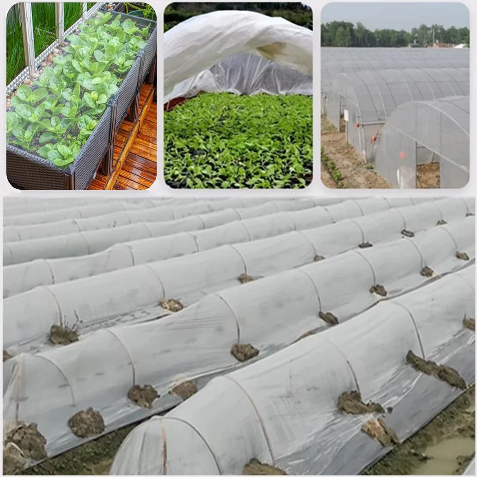 Bâche de protection pour serre 2 x 6 m transparente pour plantes