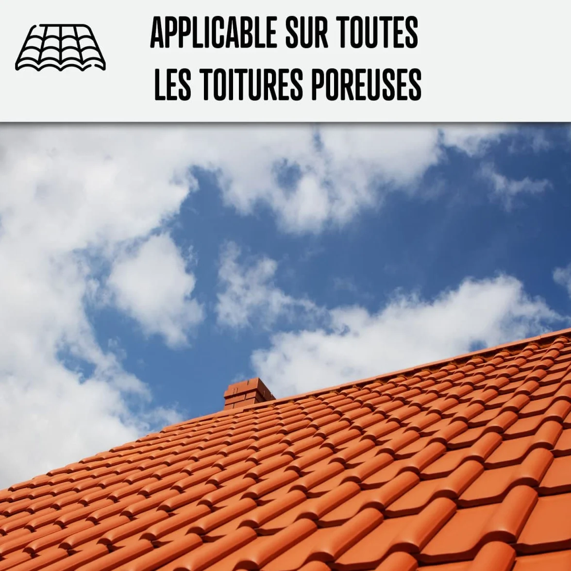 Hydrofuge Toiture, imperméabilisant tuiles incolore - IMPERTOITURE HYDRO - 5 L (jusqu'à 25 m²) - ARCANE INDUSTRIES