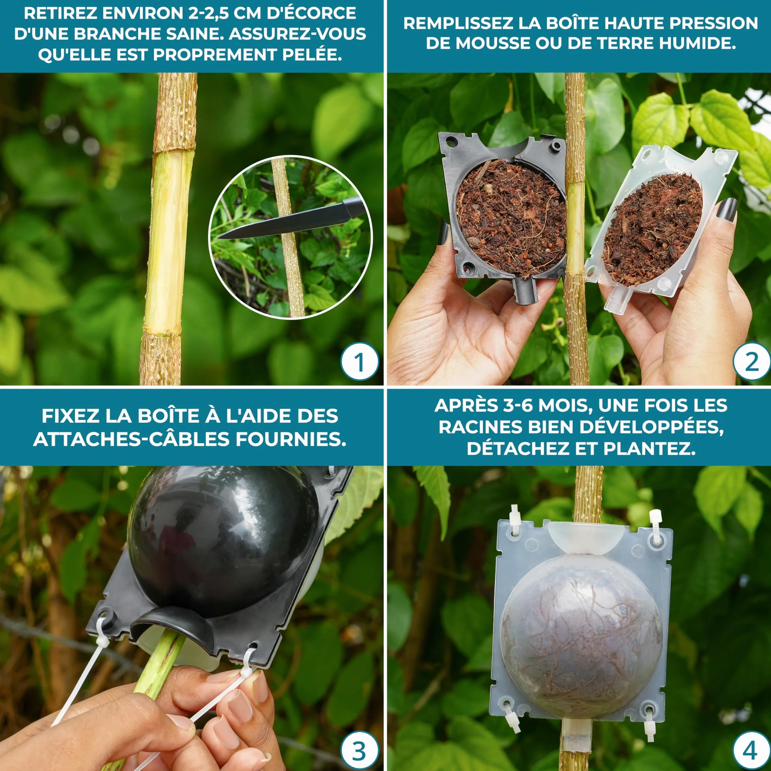 Kit de Marcottage Aérien Lot de 10 - Boule de Bouturage Haute Pression avec Colliers de Serrage pour Clonage Arbres Plantes