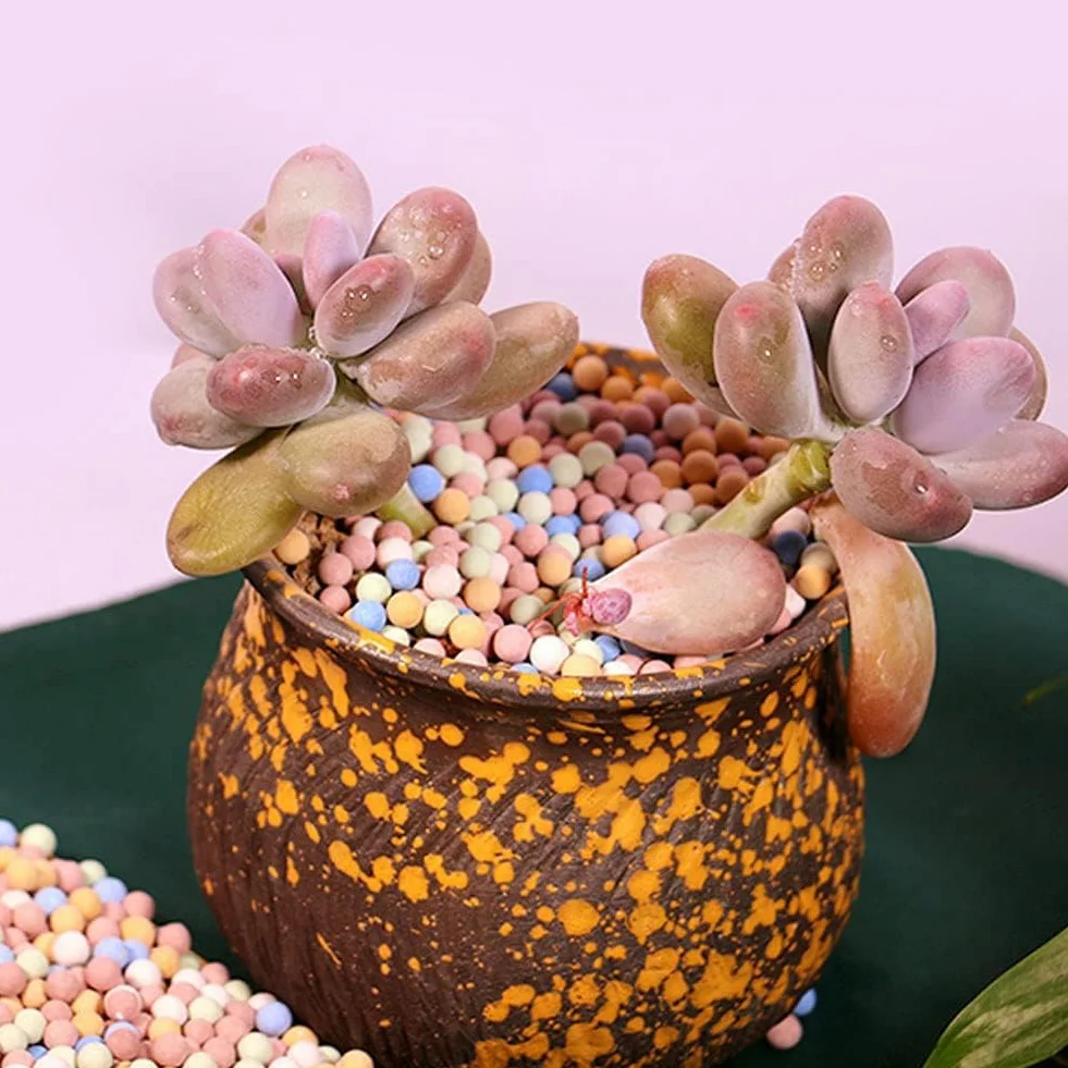 Cailloux d'argile 180 g 8-10 mm pour jardinage hydroponique orchidée