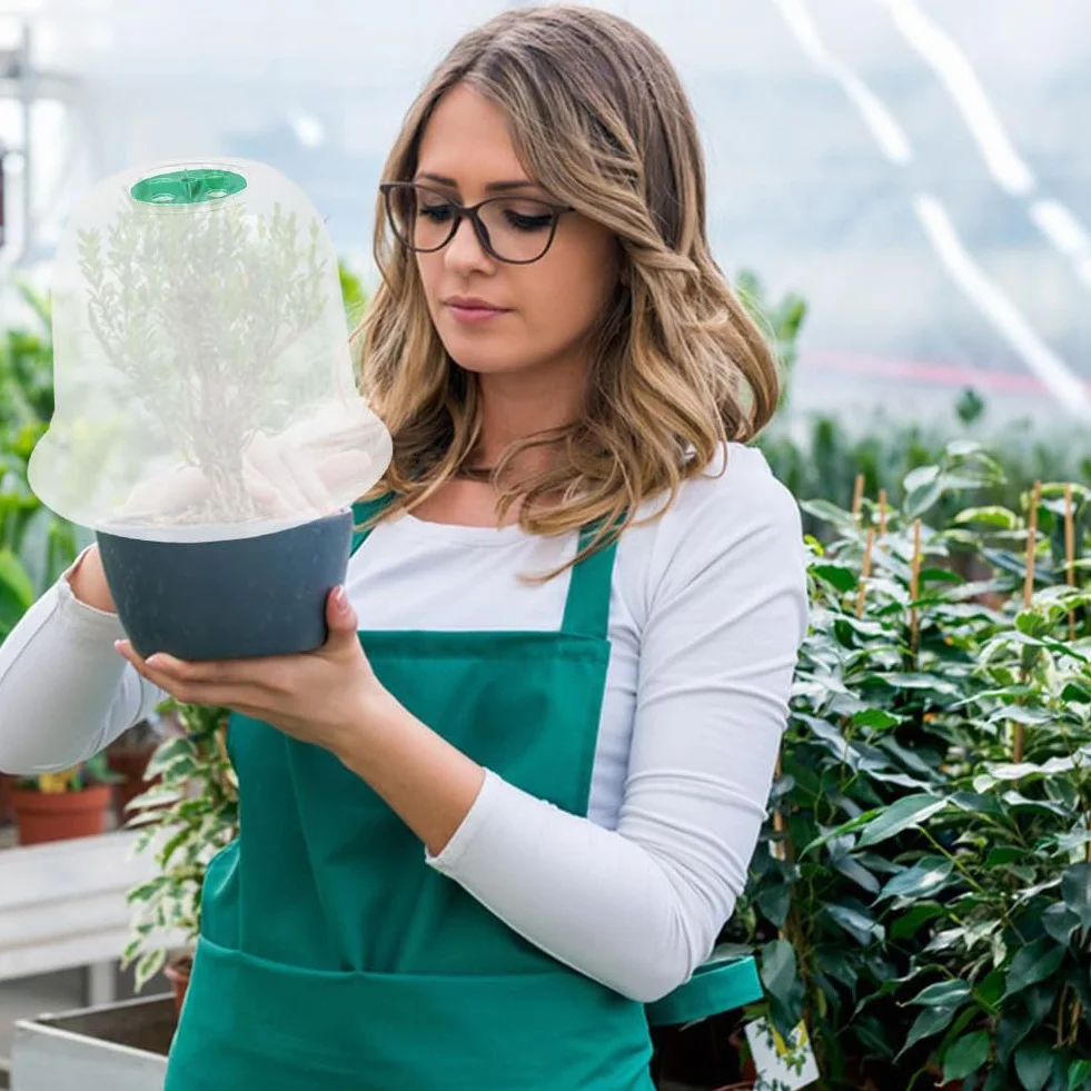 Cloche Pour Plantes De Jardin 10 Pièces Protection Pluie Et Gel Ventilation Améliorée