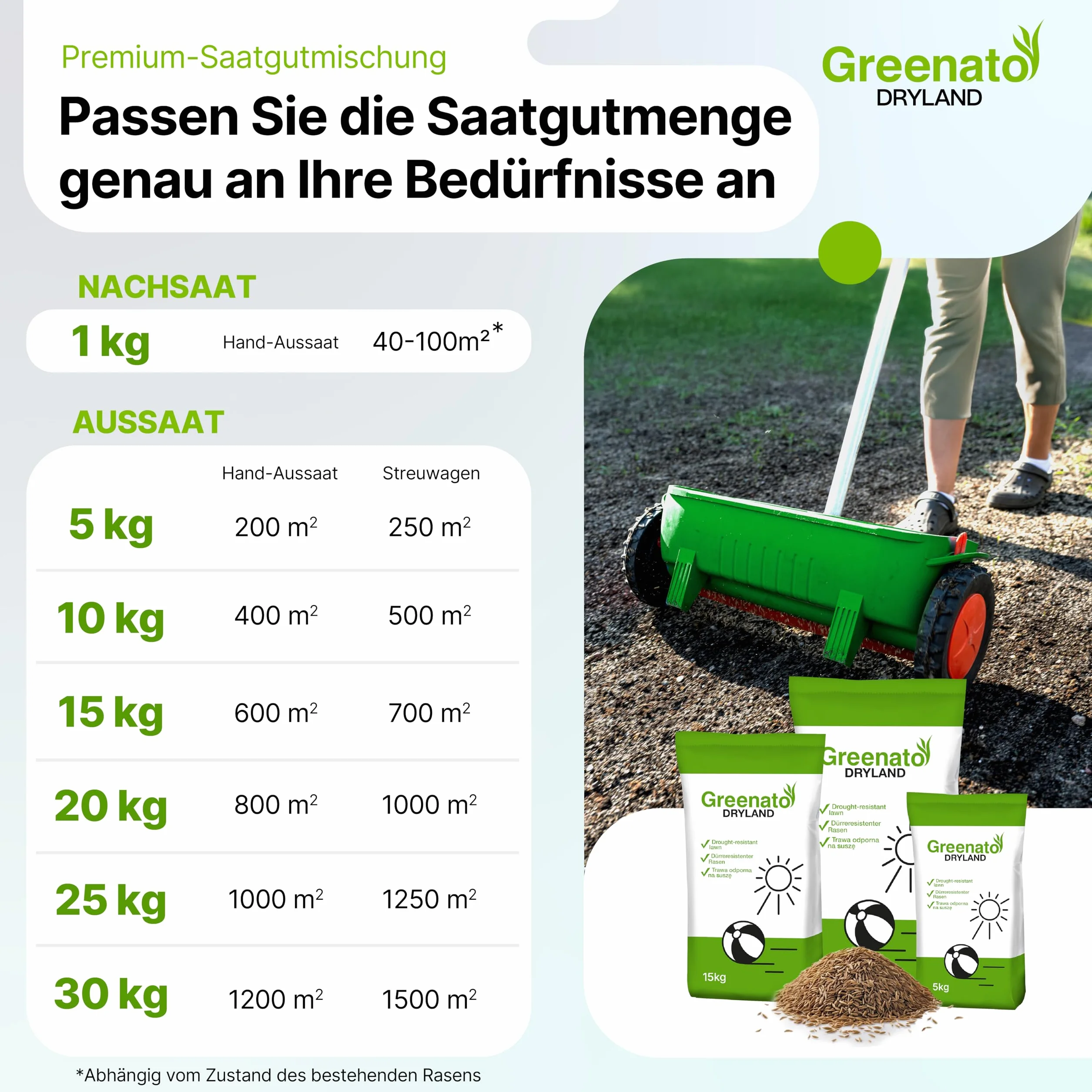Greenato Dryland Graines de gazon résistant à la sécheresse 30kg