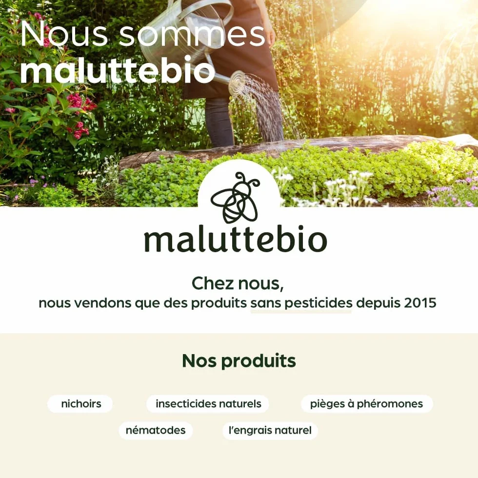Nématodes HB contre Vers Blancs 5M pour 10 m² – Traitement naturel jardin, pelouses