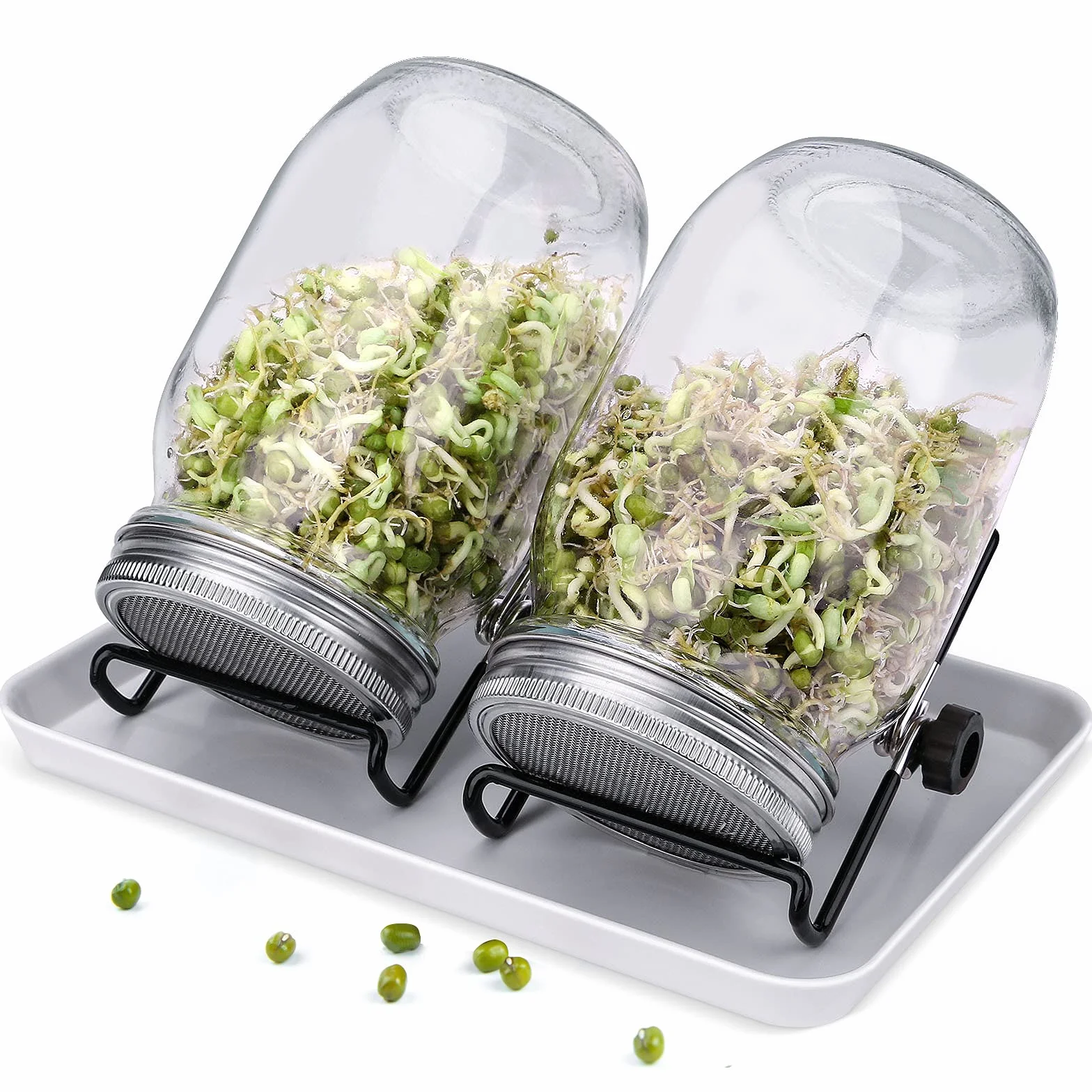 Lot de 2 pots de germination acier inoxydable pour graines brocoli haricots
