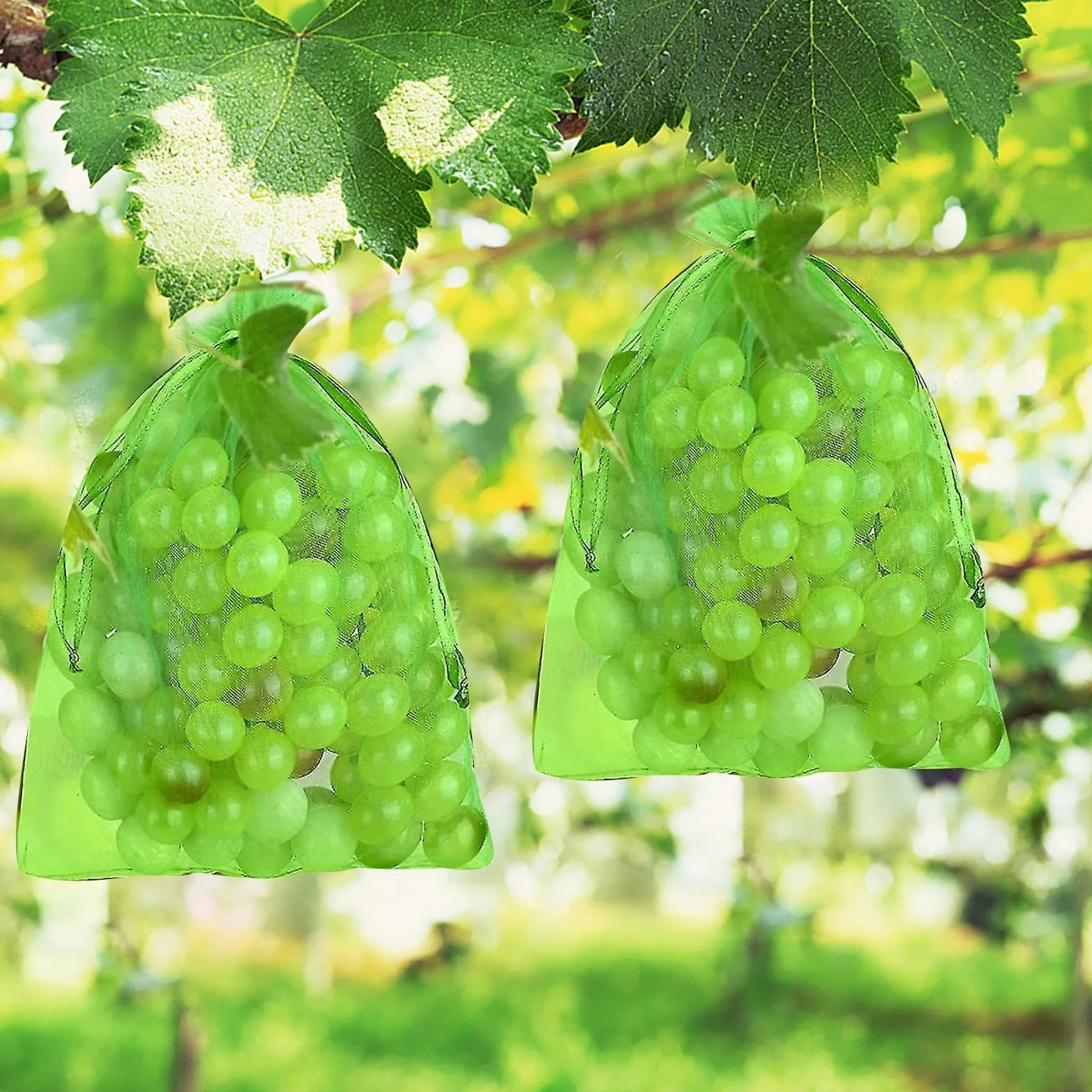 Filets Protection Fruits 100 Sacs 15x20 cm Cordon Serrage Anti-Oiseaux Guêpes Drosophile