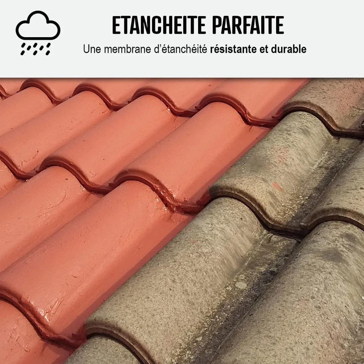 Étanchéité Toiture : Peinture résine d'étanchéité ARCAFILM pour Toit et Tuile - 2.5 L Tuile - ARCANE INDUSTRIES
