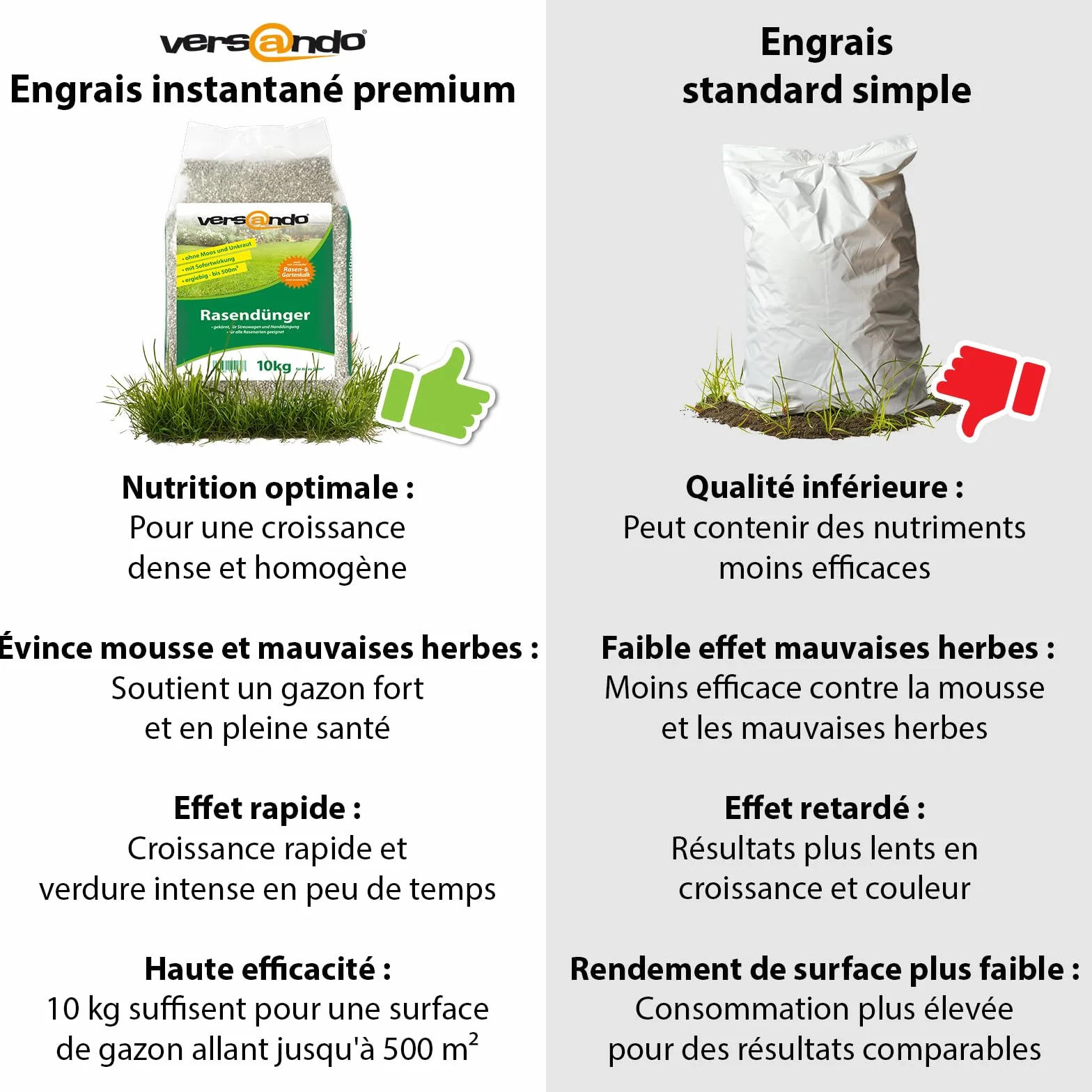 Versando Engrais Gazon Été 10kg 500m² Anti-Mousse Anti-Mauvaises Herbes