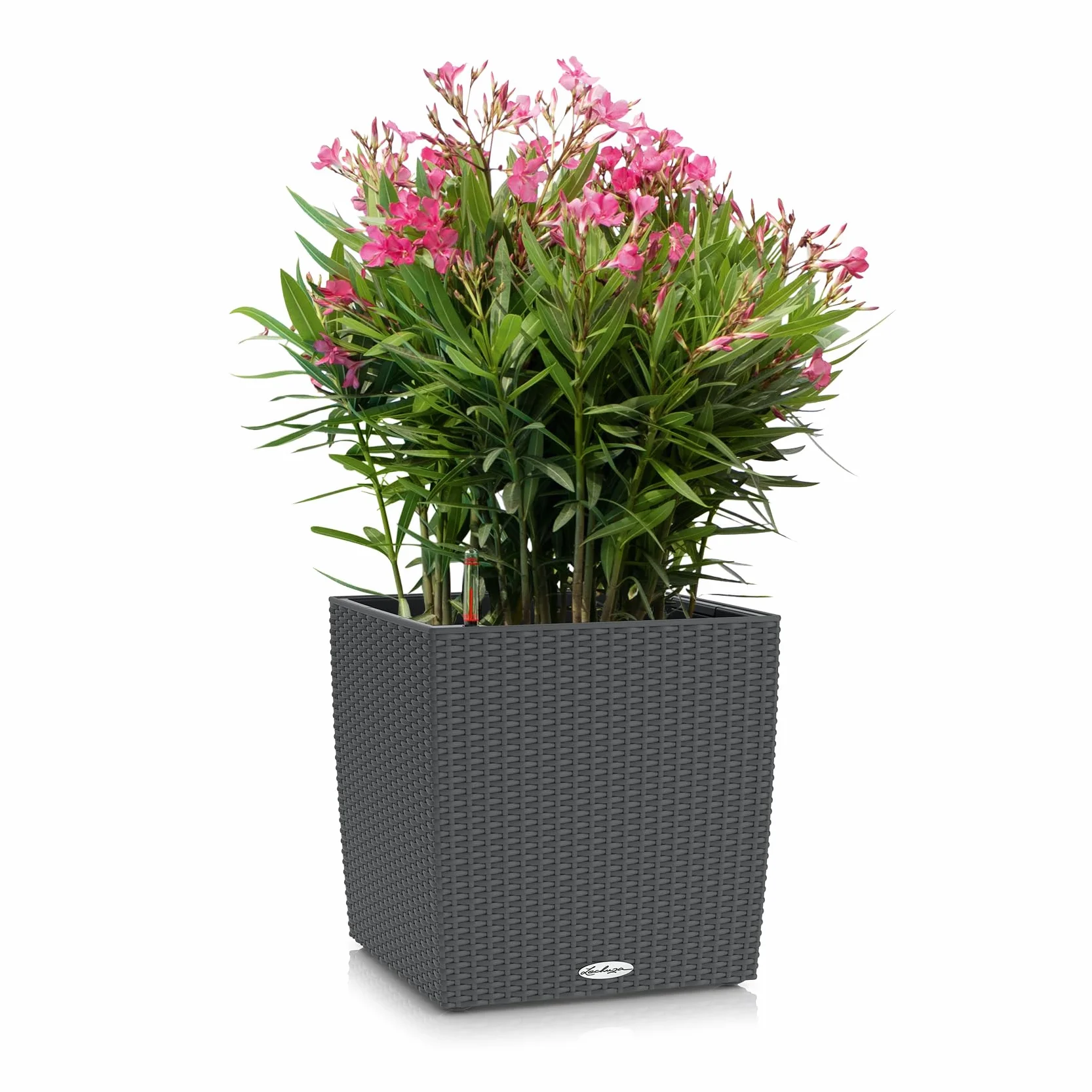 Lechuza Cottage Cube Pot de Fleurs d'Extérieur et d'Intérieur avec Réserve d'Eau Intégrée Granit 40 x 40 x 40 cm