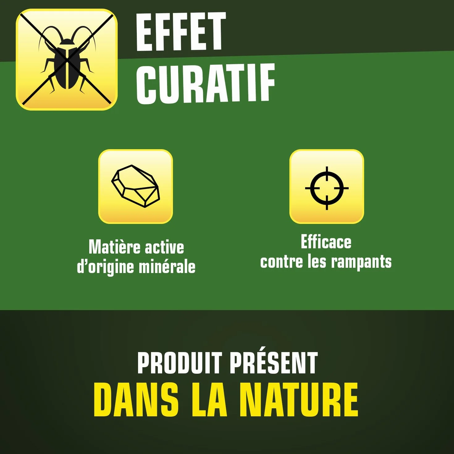 Terre de Diatomée Punaises de Lit Poudre 100g Naturel Élimine Fourmis Cafards Blattes Puces