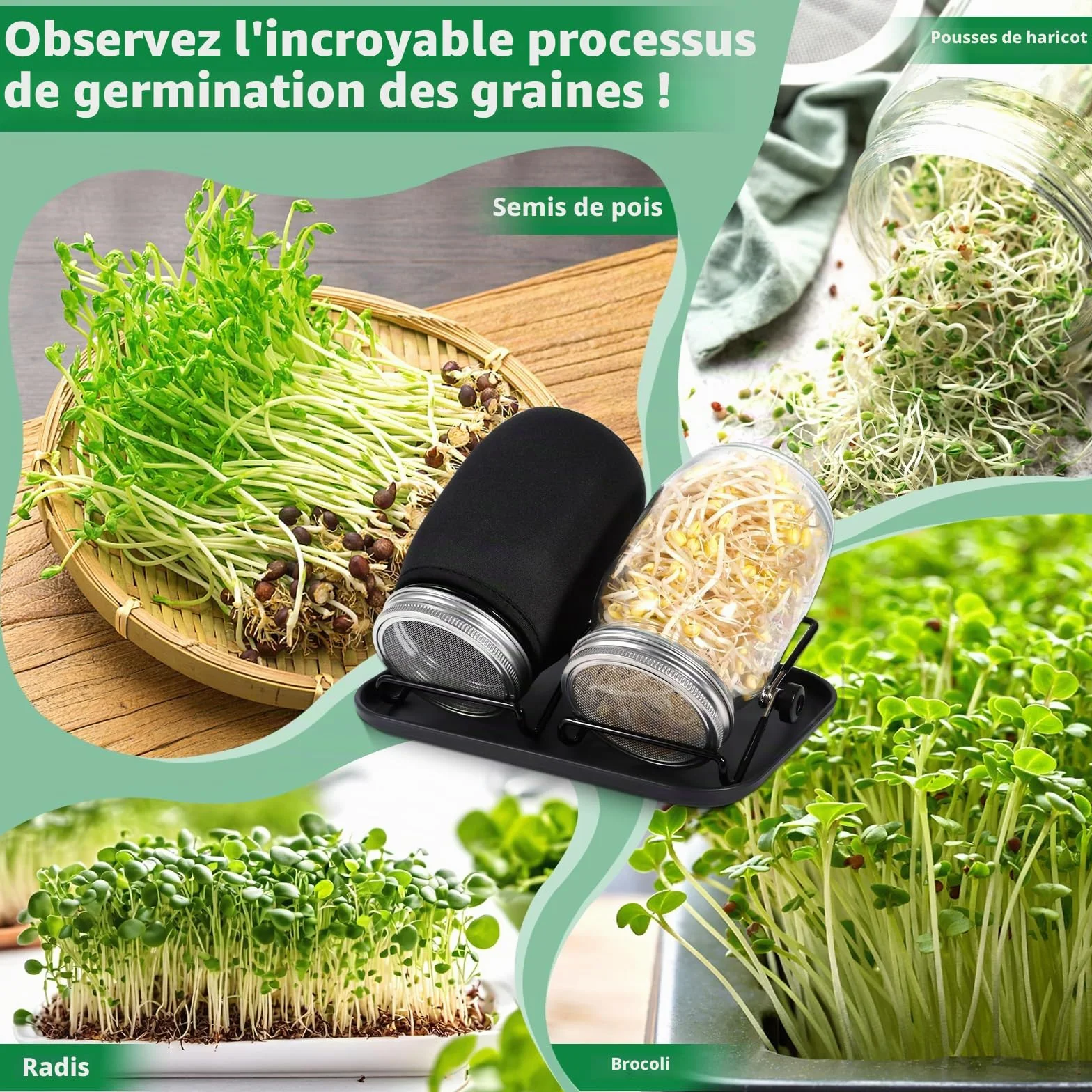 Bocal de Germination de Graines 2 x 1000ml Germoir en Verre avec Couvercle Acier Inoxydable, Support et Plateau