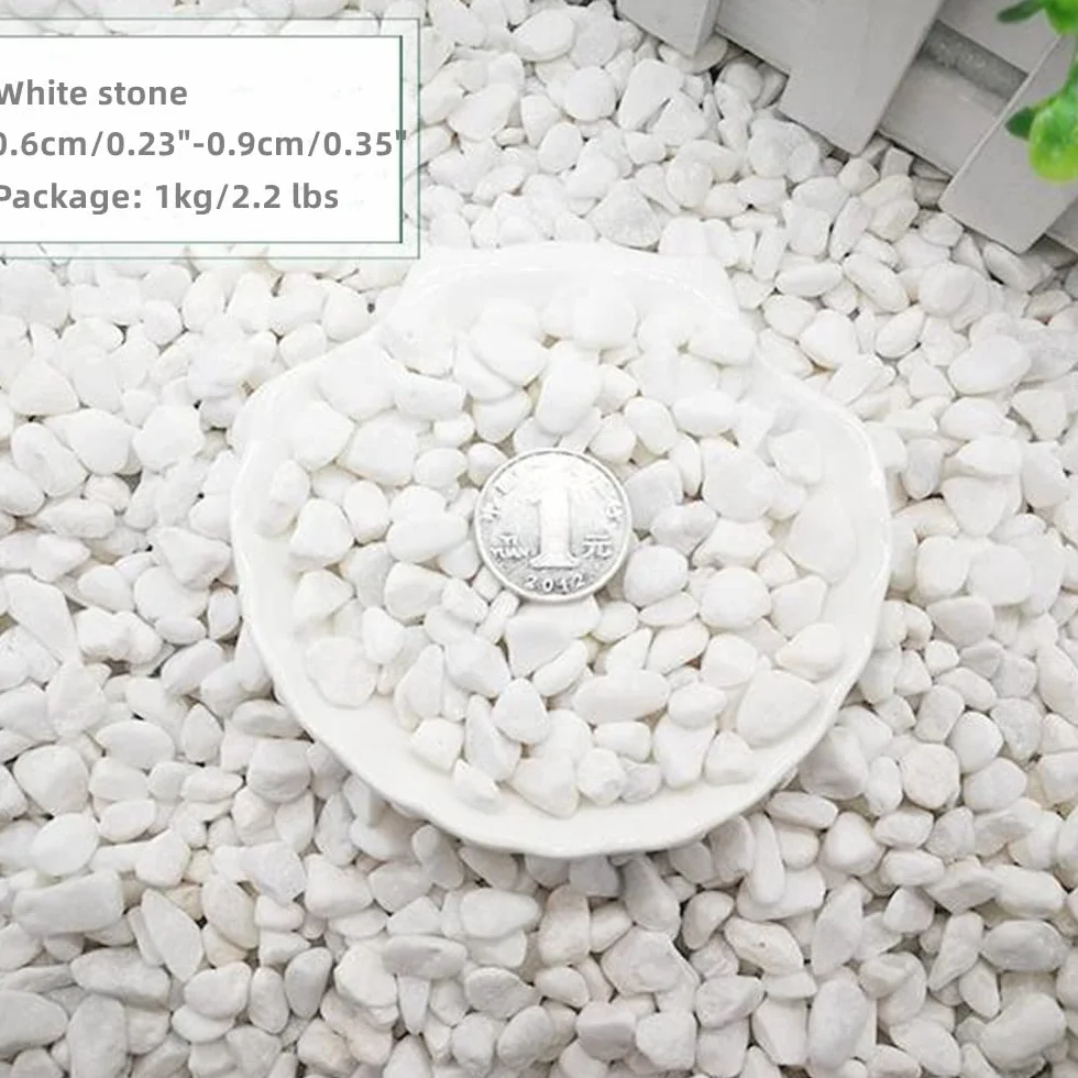 Pierres Blanches Décoratives Galets de Rivière 6-9mm 1kg pour Jardin Aquarium Pot de Fleurs