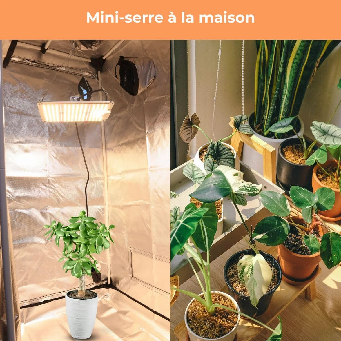 Mobiclinic® Growbox 120x120x200cm Premium Mylar 97% Reflective Hydroponique Imperméable