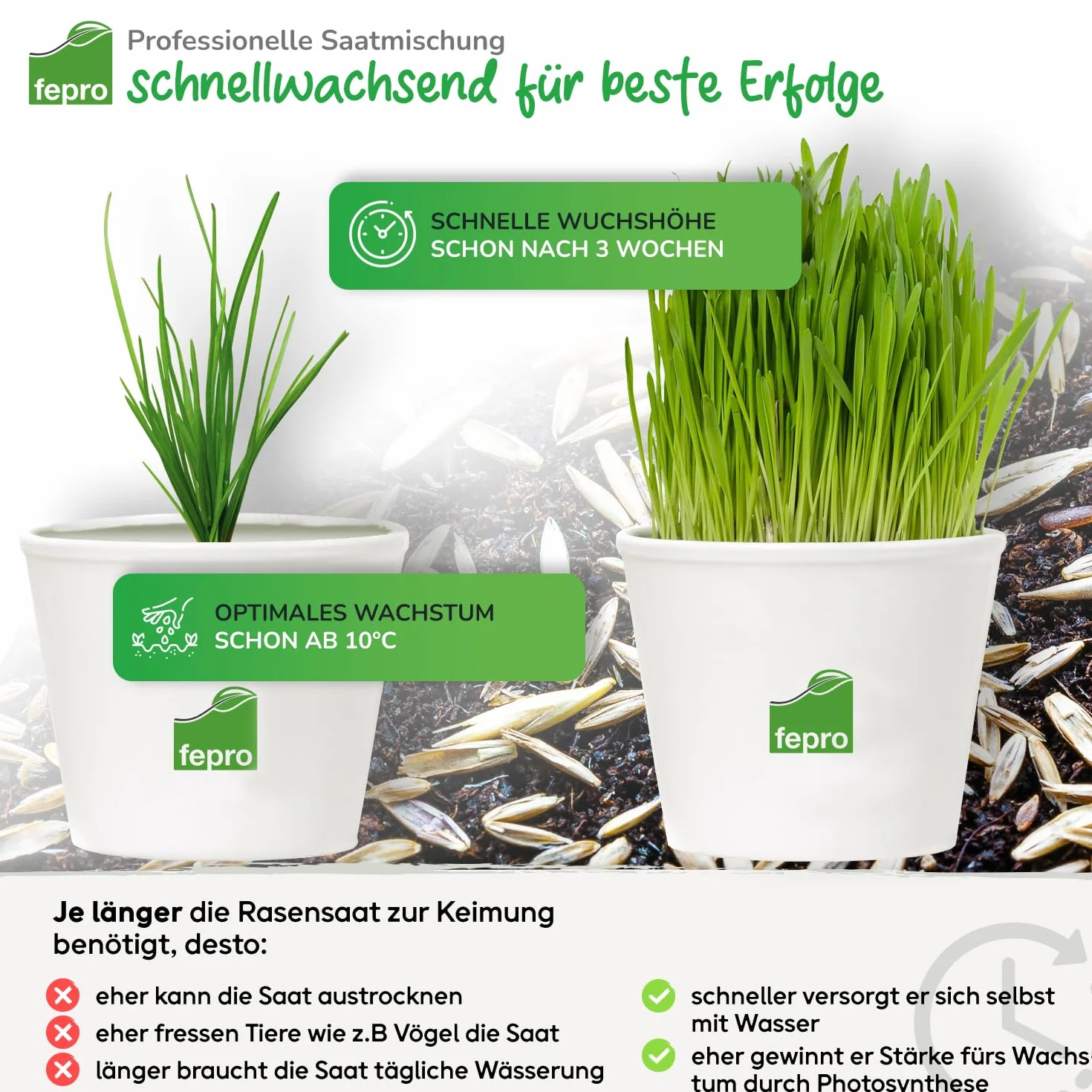 Semences de gazon résistantes à la sécheresse 10 kg 400 m² germination rapide