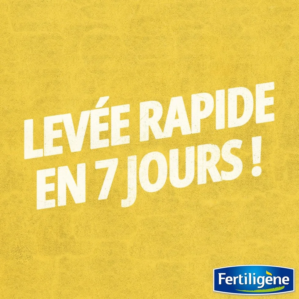 FERTILIGENE REGAR100 Semences Gazon Super Regarnissant 2 kg - Premières pousses en 1 semaine - Pour 100 m²
