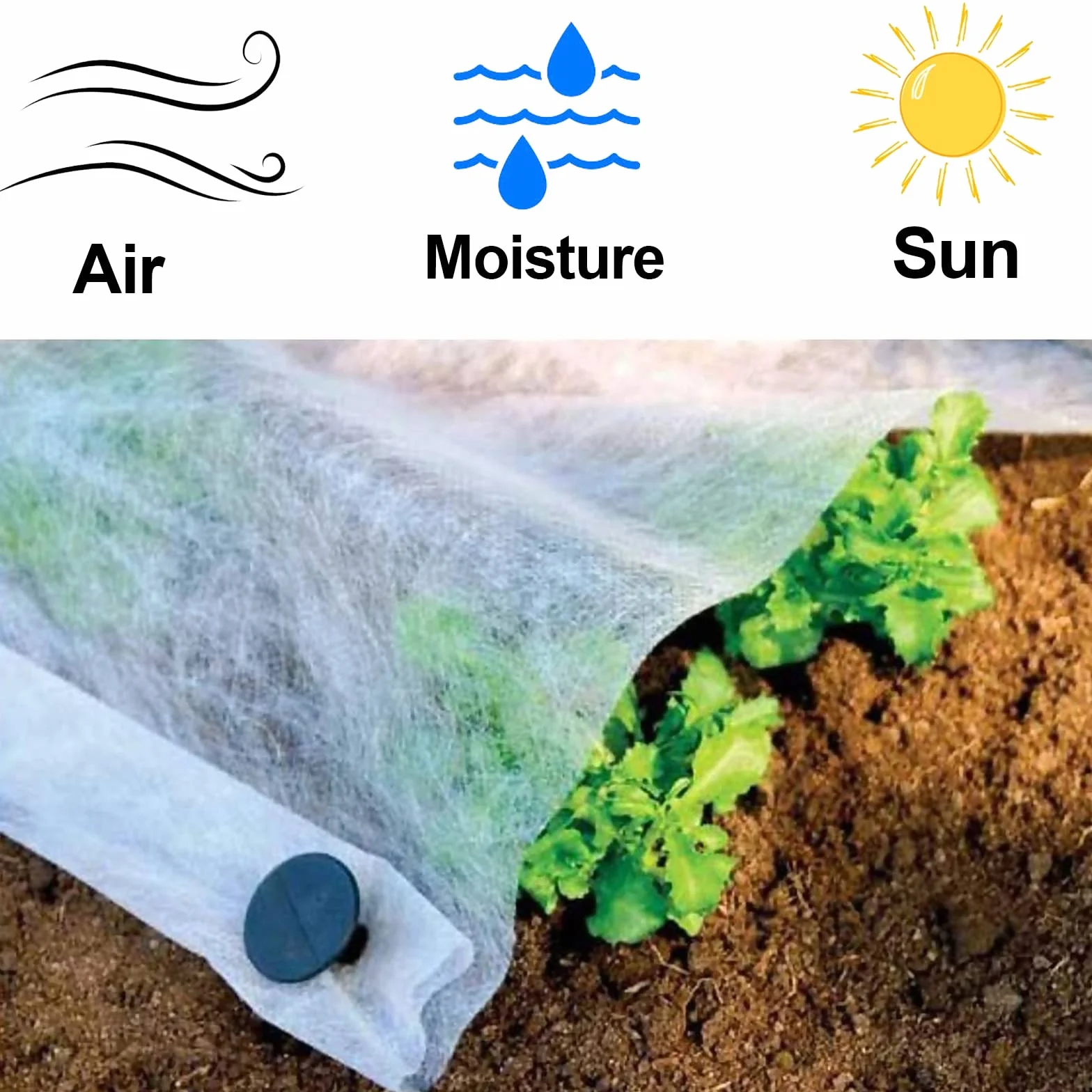 Non-tissée de Protection Hivernale 30g/m² 1.6m x 8m Protection Contre Gel des Plantes Perméable Coupe-Vent
