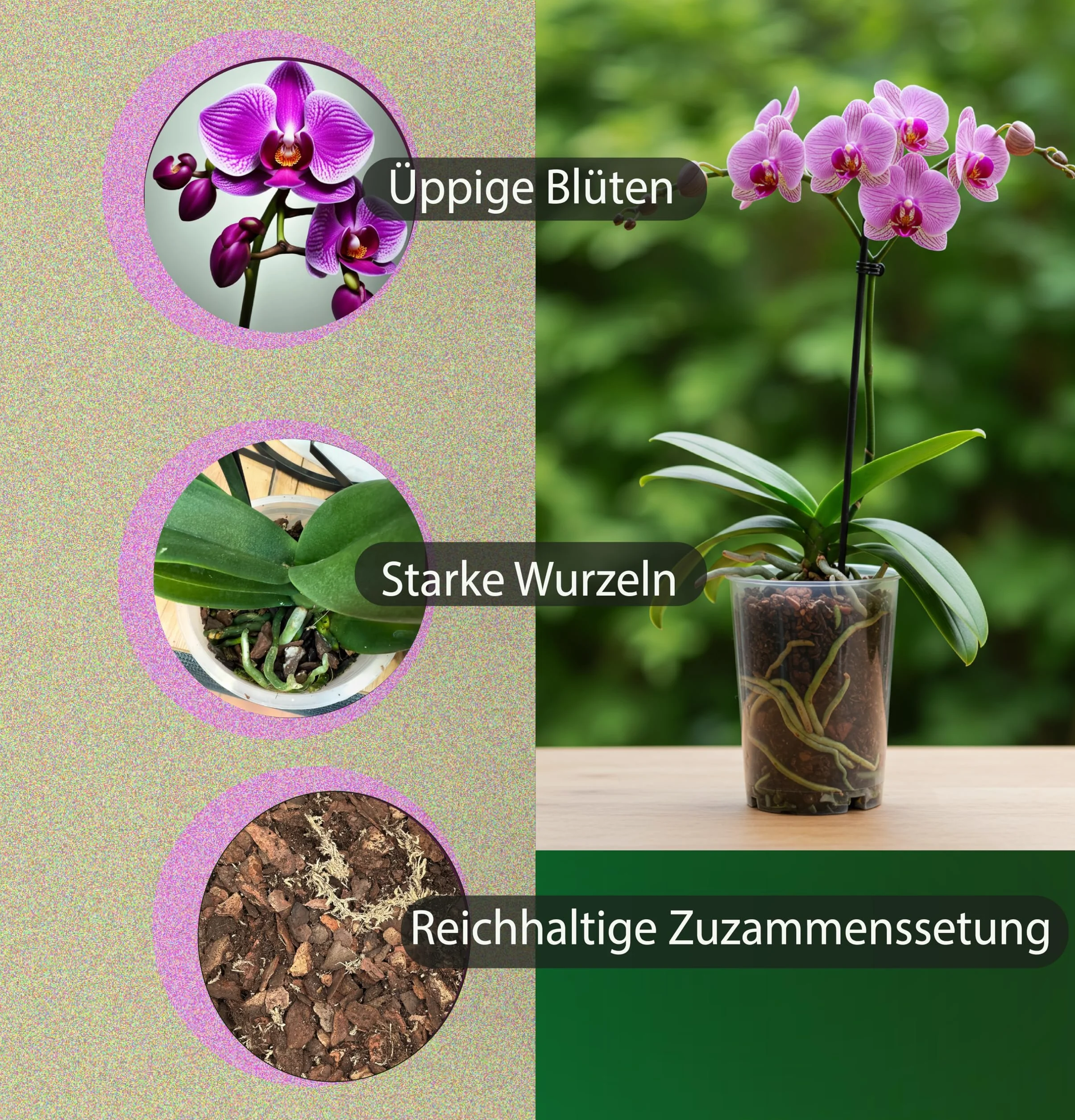 Substrat pour orchidées 2,5 L 6 composants Orchideenerde