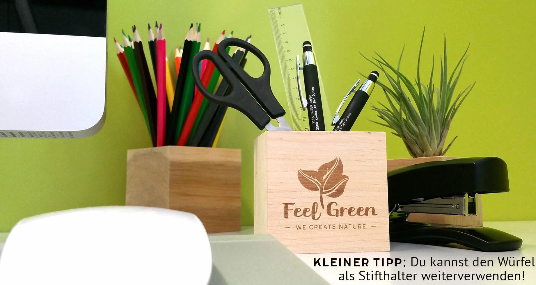 Feel Green Ecocube Trèfle Porte-Bonheur Kit de Culture dans un Cube en Bois