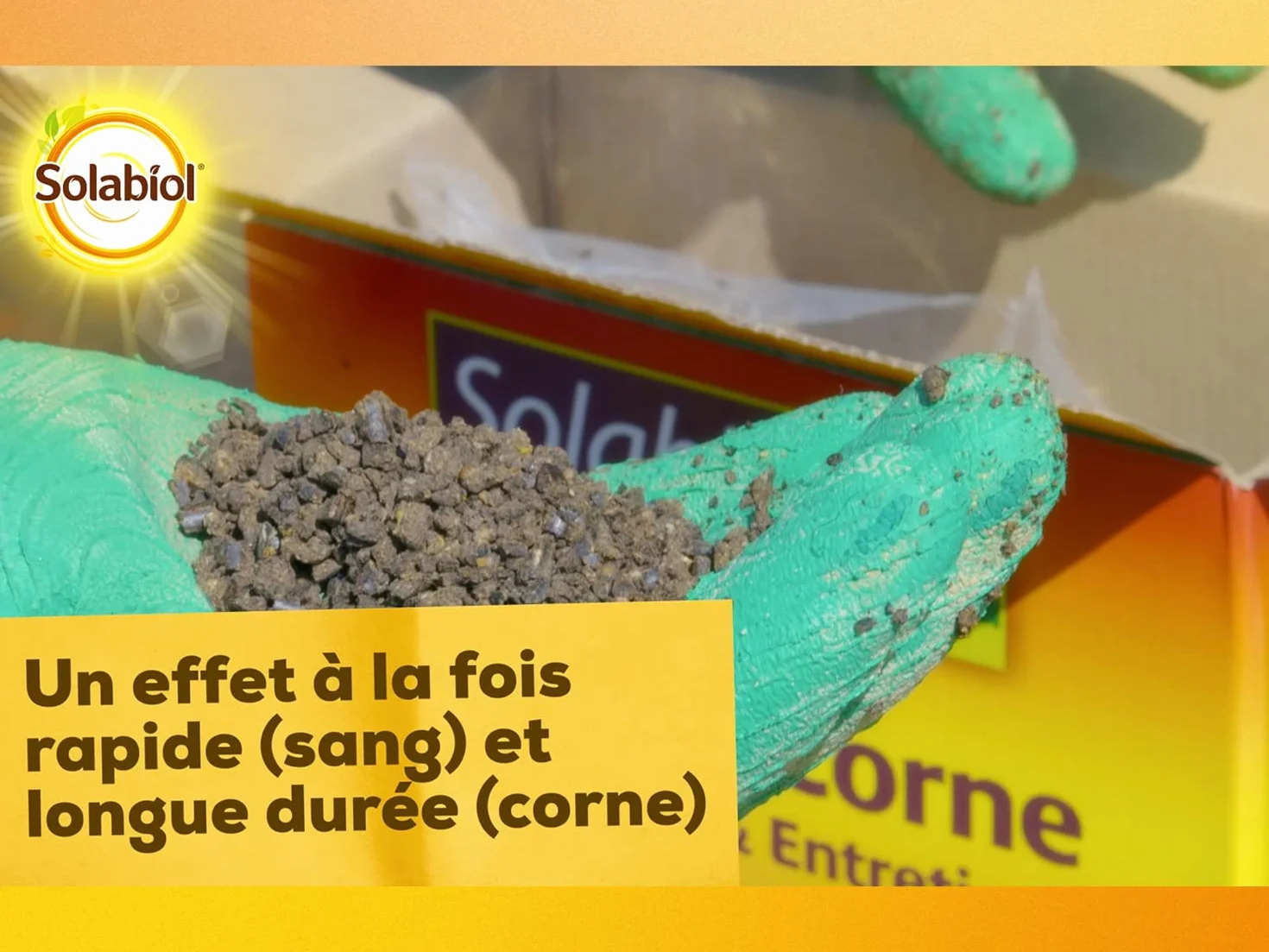SOLABIOL Engrais Sang Et Corne 4Kg Jusqu'à 100m² Effet Rapide Longue Durée Agriculture Biologique