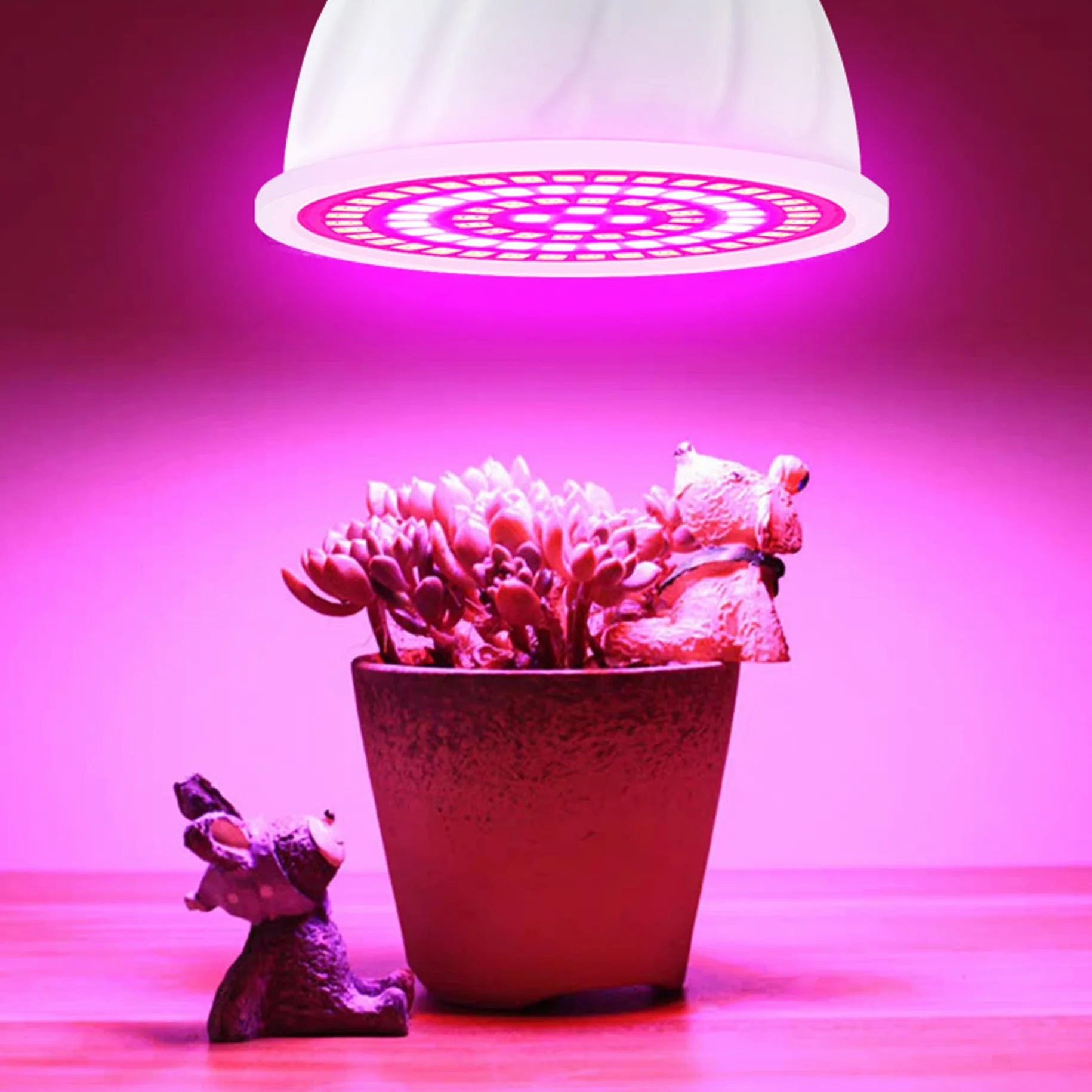 Lot de 2 ampoules de culture LED E27 spectre complet pour plantes d'intérieur