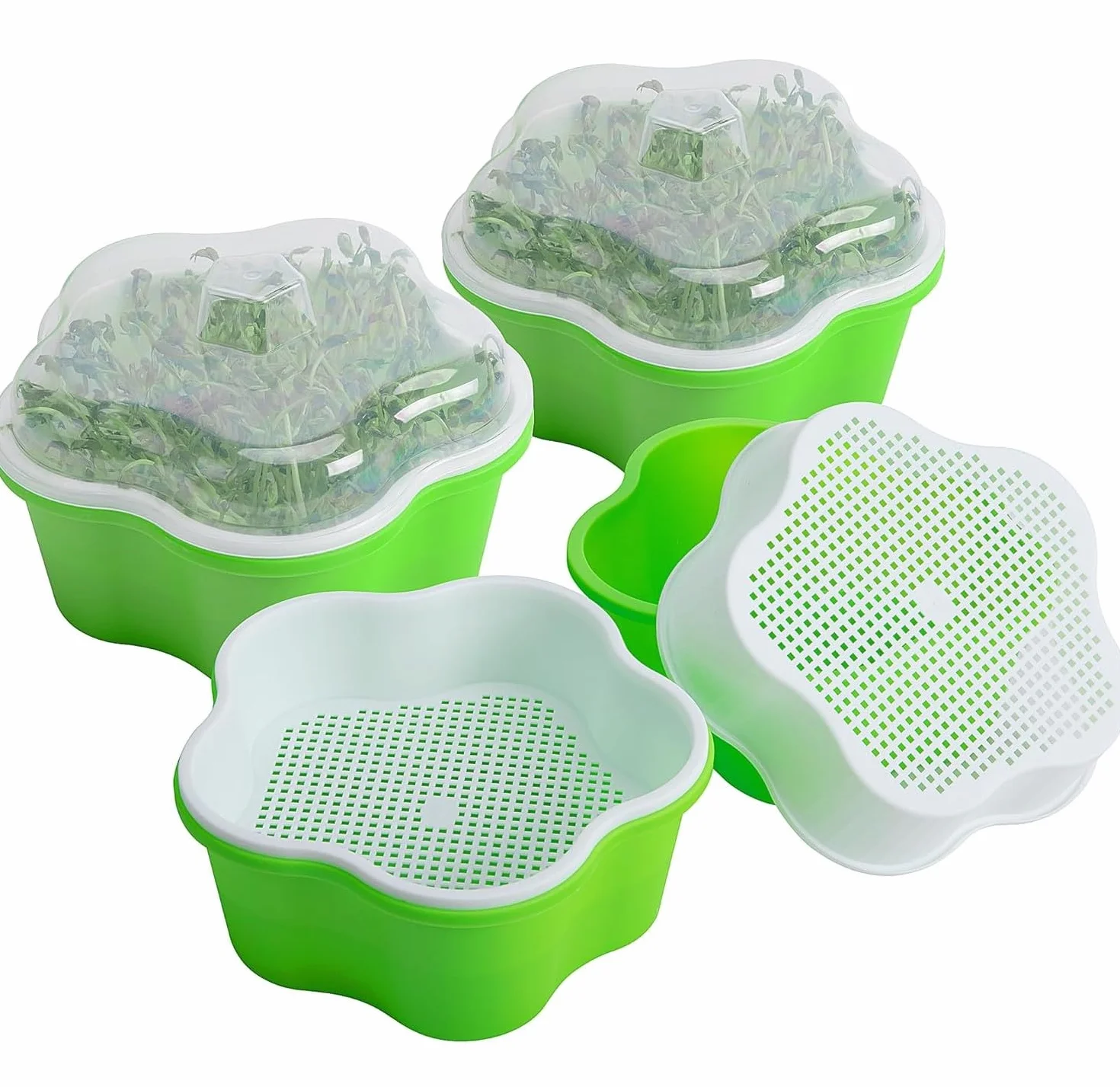 LATERN 4 Pièces Plateaux de Germination 16CM Bac à Semis Propagateur Hydroponique sans BPA