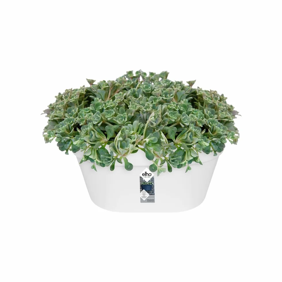 Elho Loft Urban Mural 40 Planteur Balcon Extérieur Ø 39.3 x H 18.8 cm Blanc