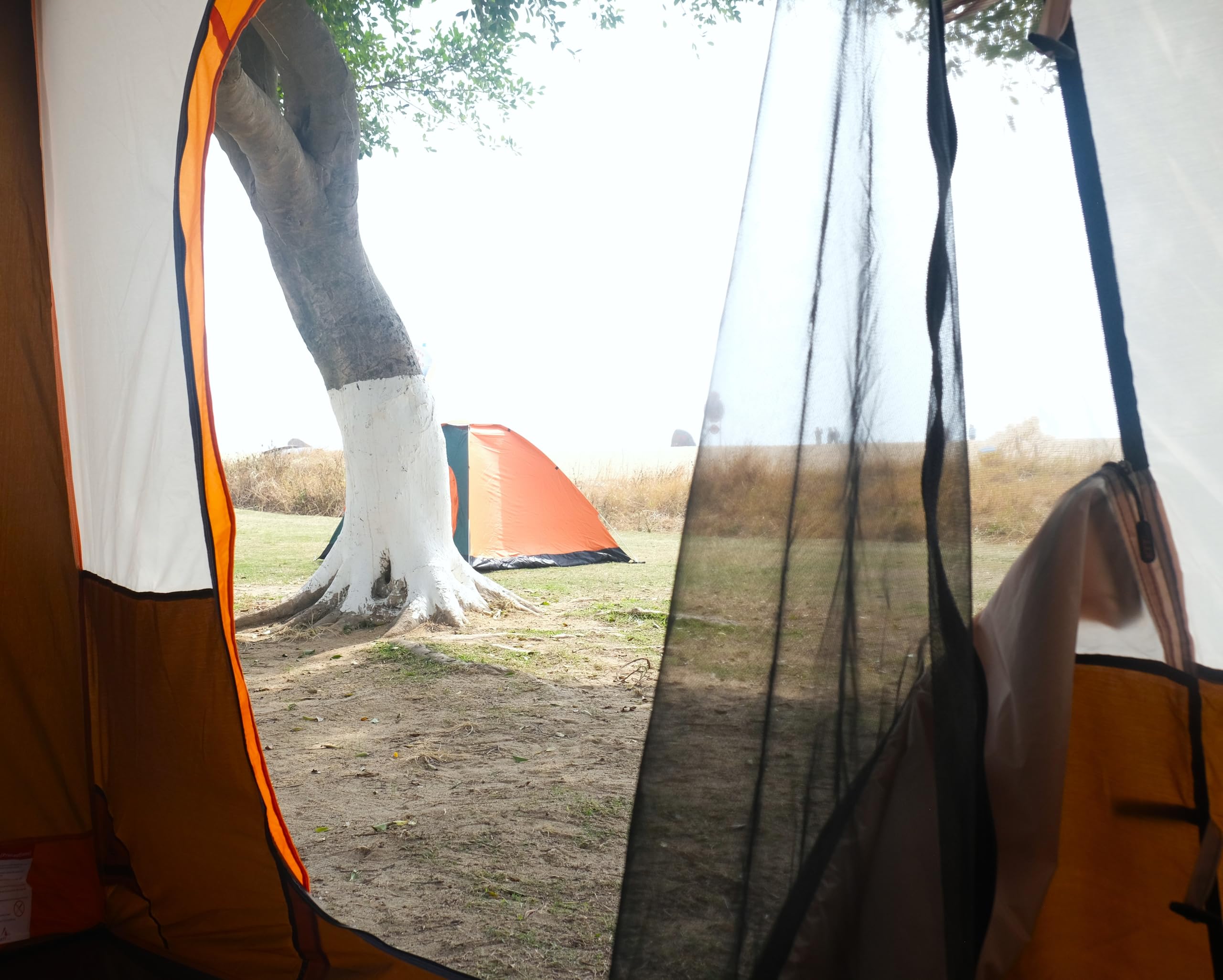 Expansive Family Cabin Tent with Dual-Room Design