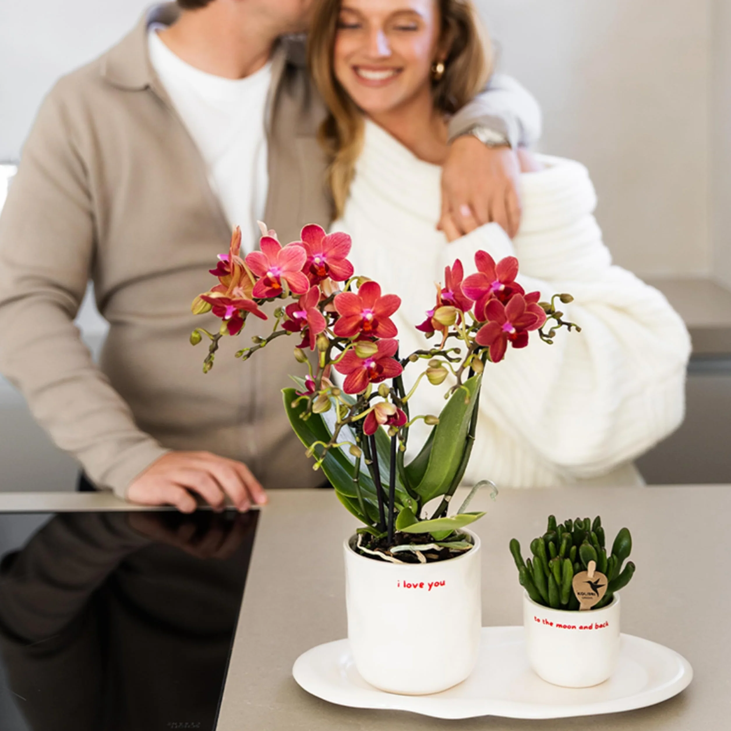 Orchidée Phalaenopsis Rouge Congo Ø9cm Plante d'Intérieur Fleurie