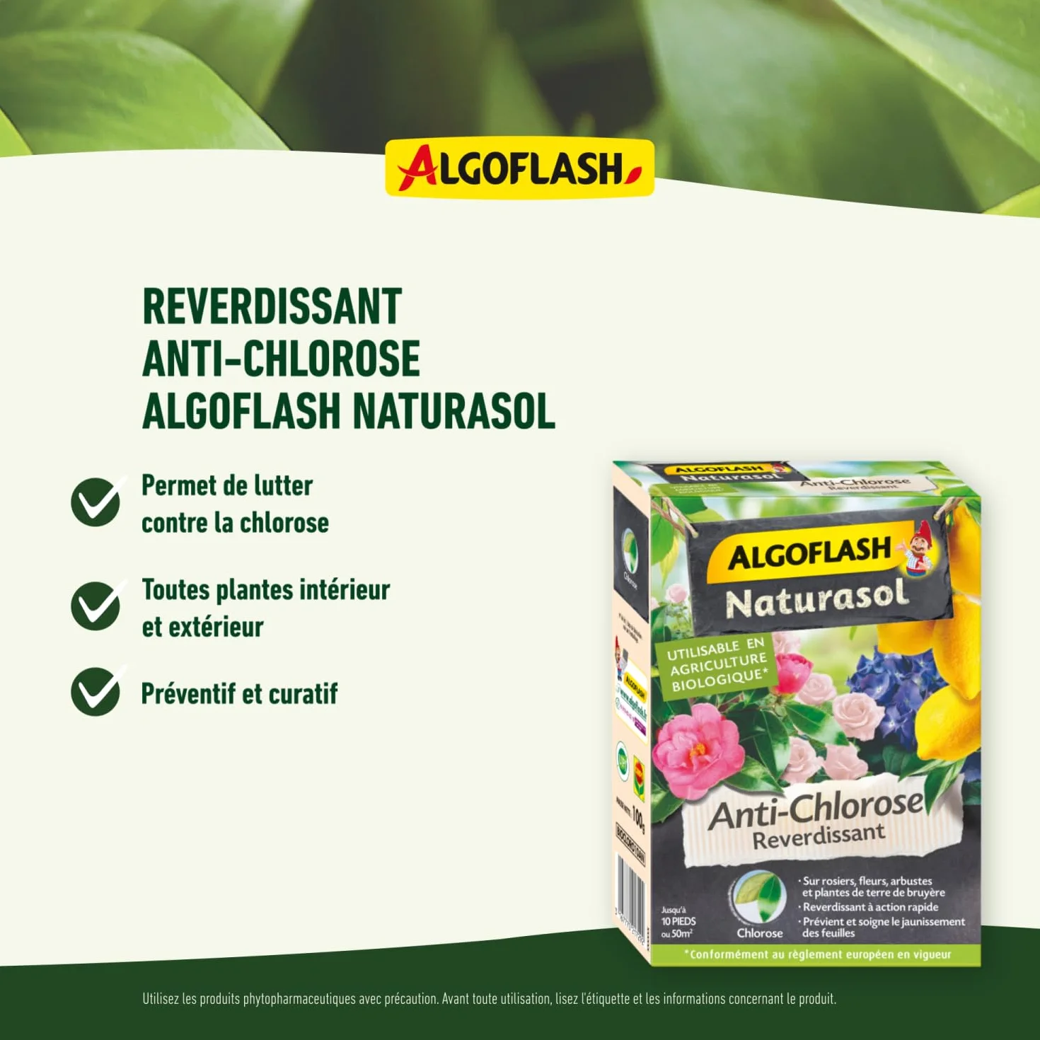 Algoflash NATURASOL Anti-Chlorose Reverdissant Toutes Plantes 100 g