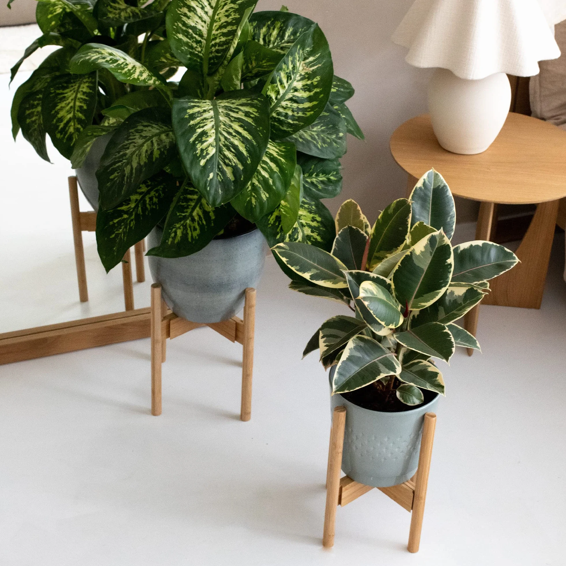 Gadgy Support pour Plantes Intérieur Bambou Réglable Ensemble 2 Pièces Pots Ø 20-30 cm Décoration Maison Moderne