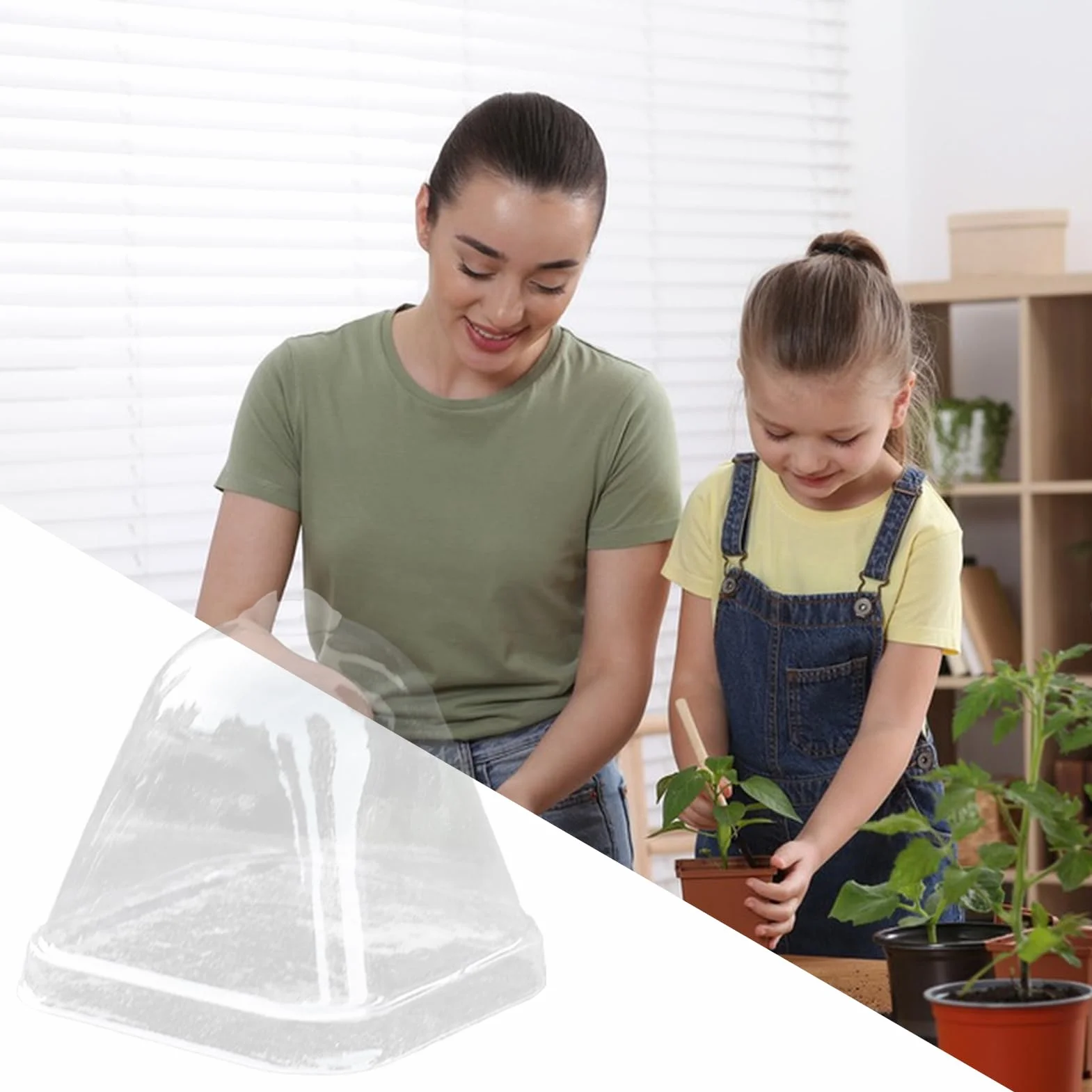 Cloche Végétale Transparente 10x Couvercle d'Isolation Thermique Mini Serre de Protection