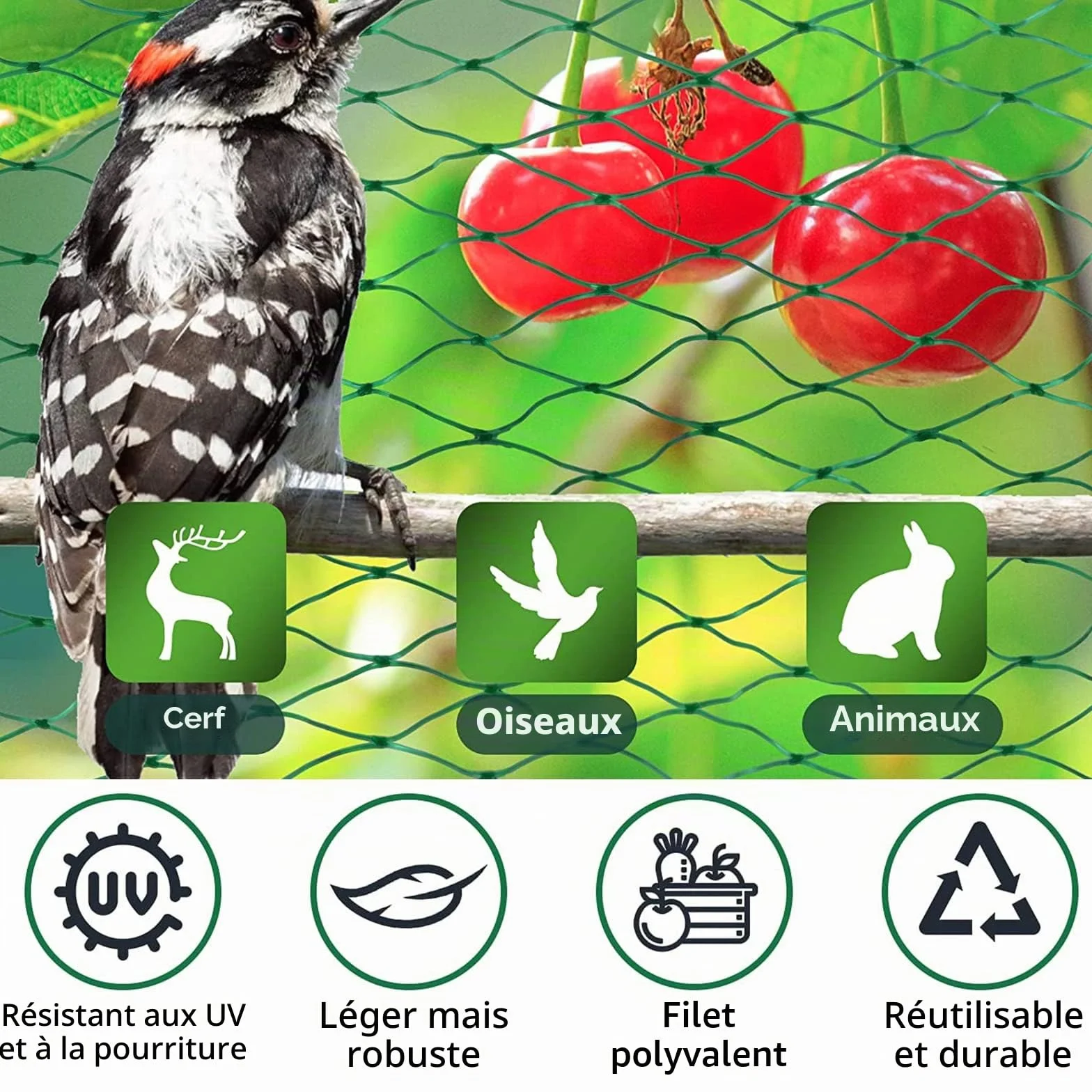 Filet Anti Oiseaux 4M x 12M Filet de Protection Jardin Plantes Fruits Fleurs
