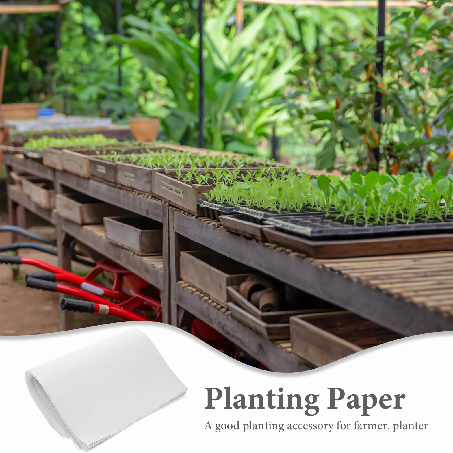 Supvox Lot de 100 Feuilles Papier Germination 19 x 27 cm Absorbant Pousses Microverts Culture Sans Terre