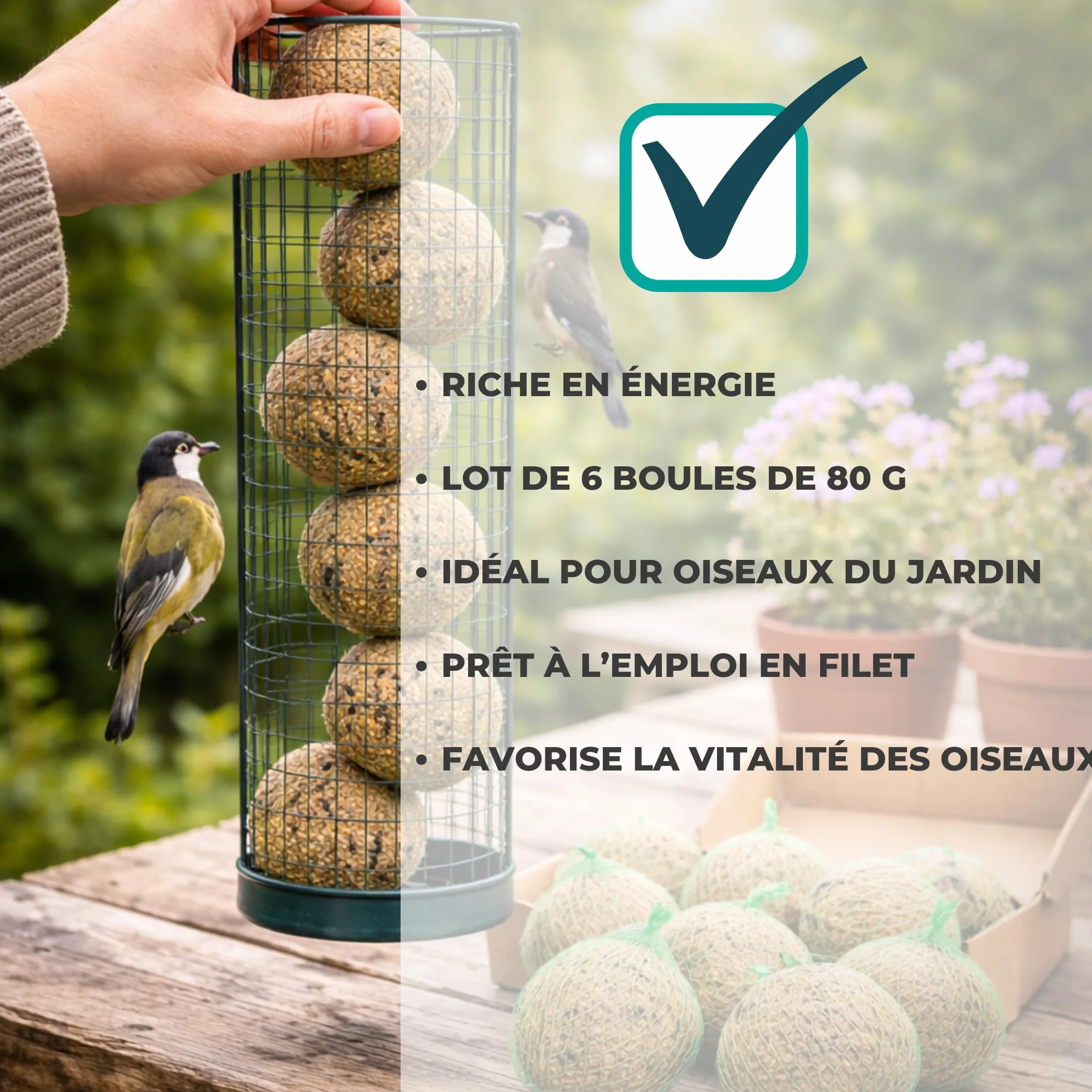 Boules de Graisse en Filet 6 x 80 grs