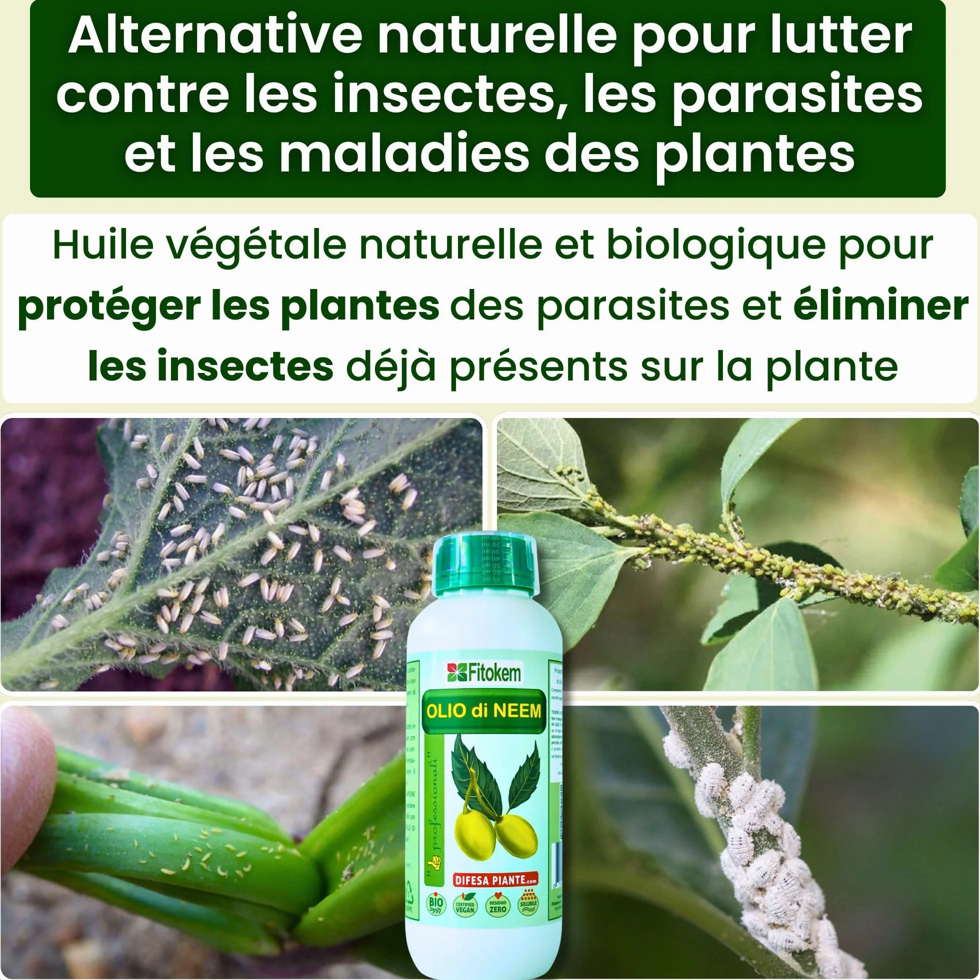 Huile de Neem Bio 1L Traitement Cochenilles Anti Pucerons Plantes Exterieur 100% Naturel Non Toxique