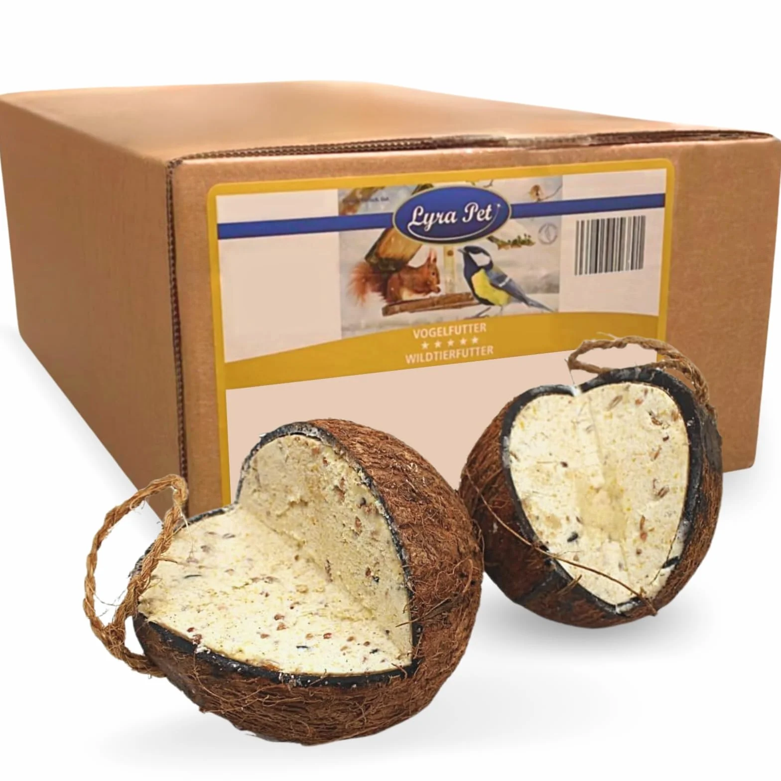 Lyra Pet® Noix de Coco entières fourrées V-Cut Nourriture pour Oiseaux Sauvages Riche en nutriments et énergie